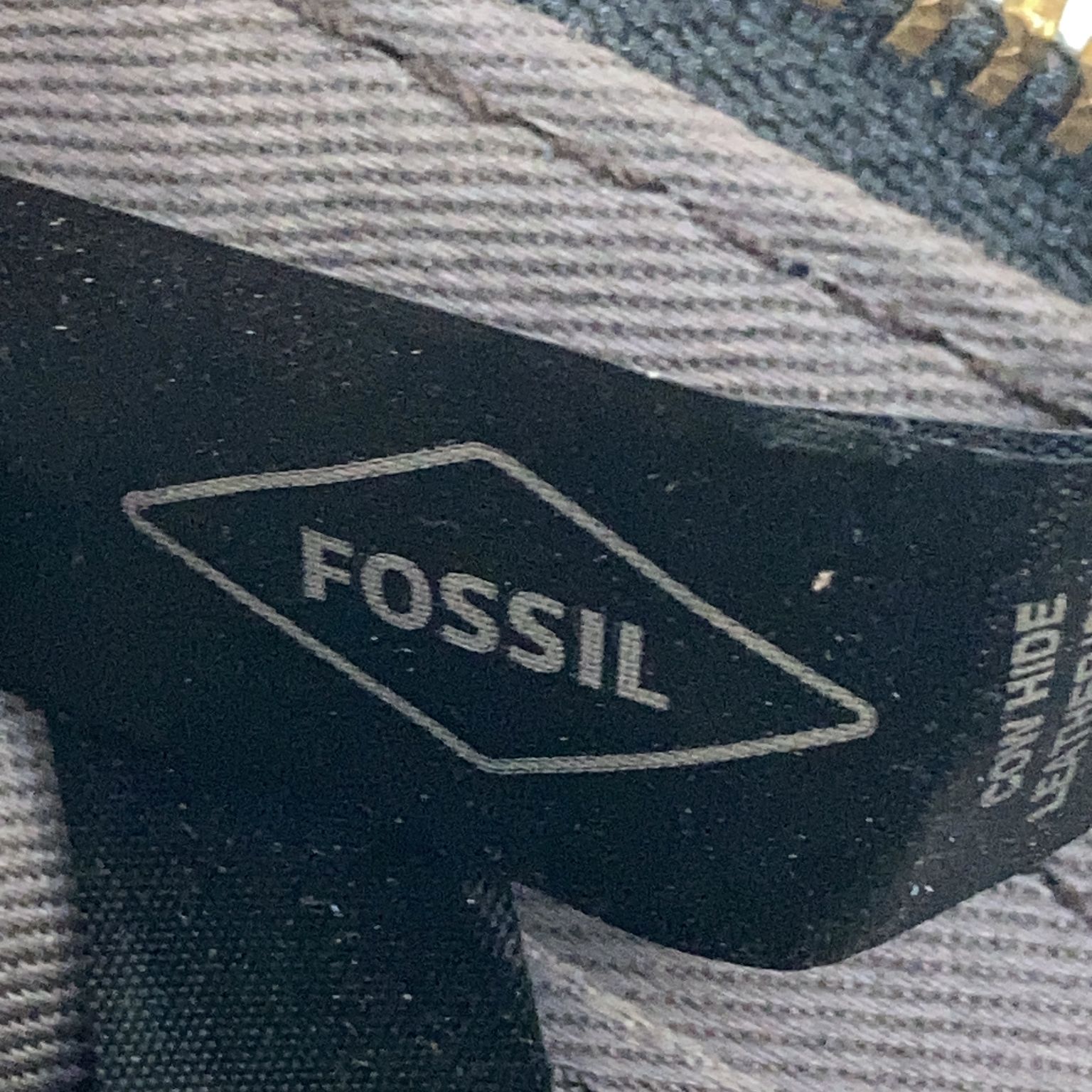 Fossil