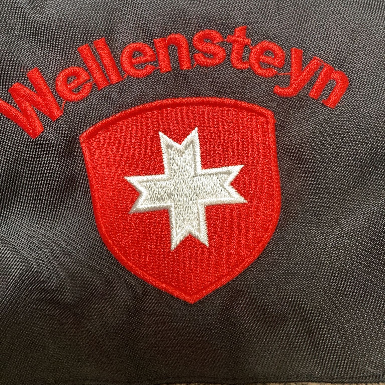 Wellensteyn