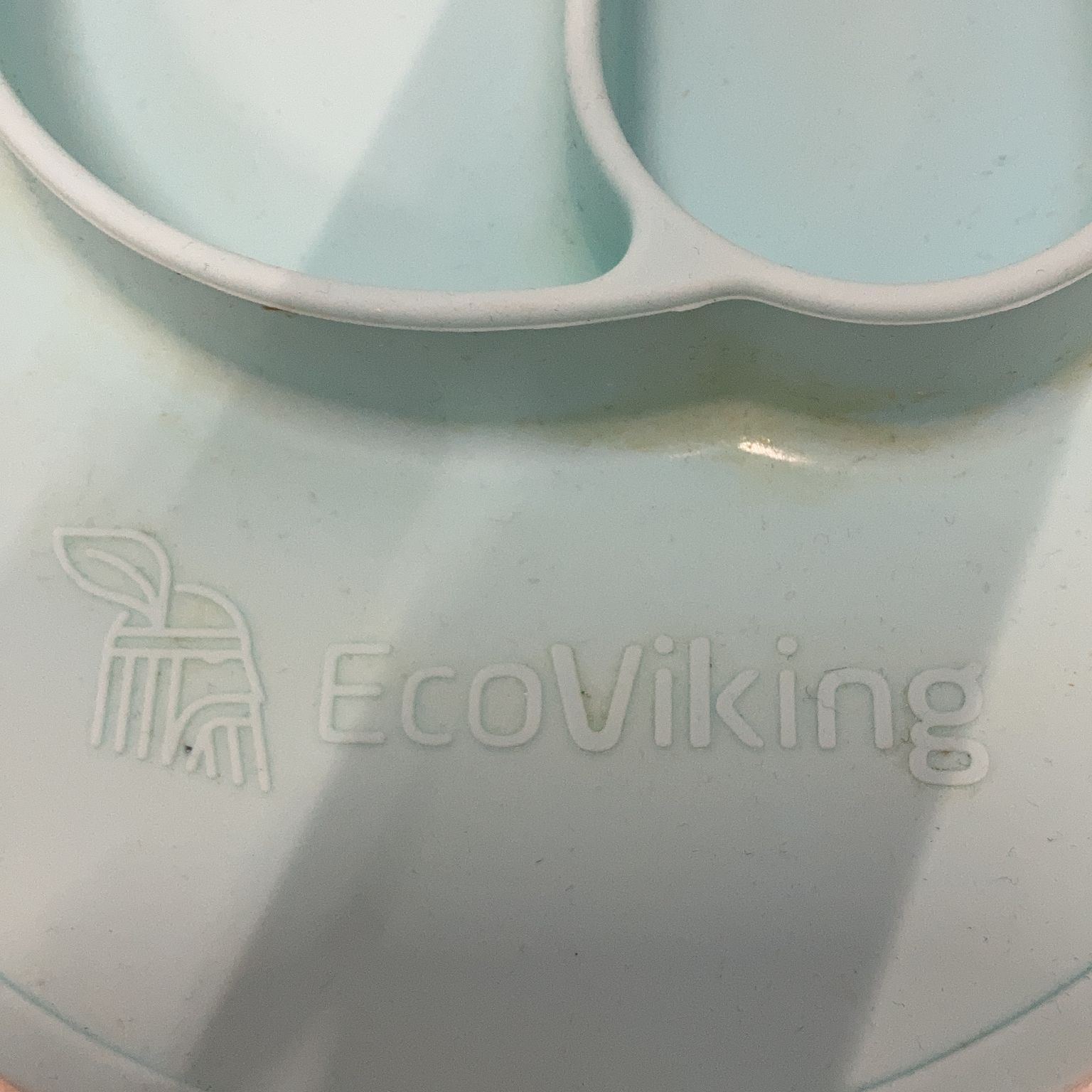 Eco Viking