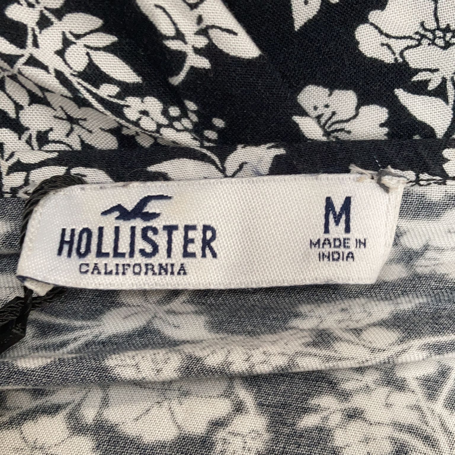 Hollister