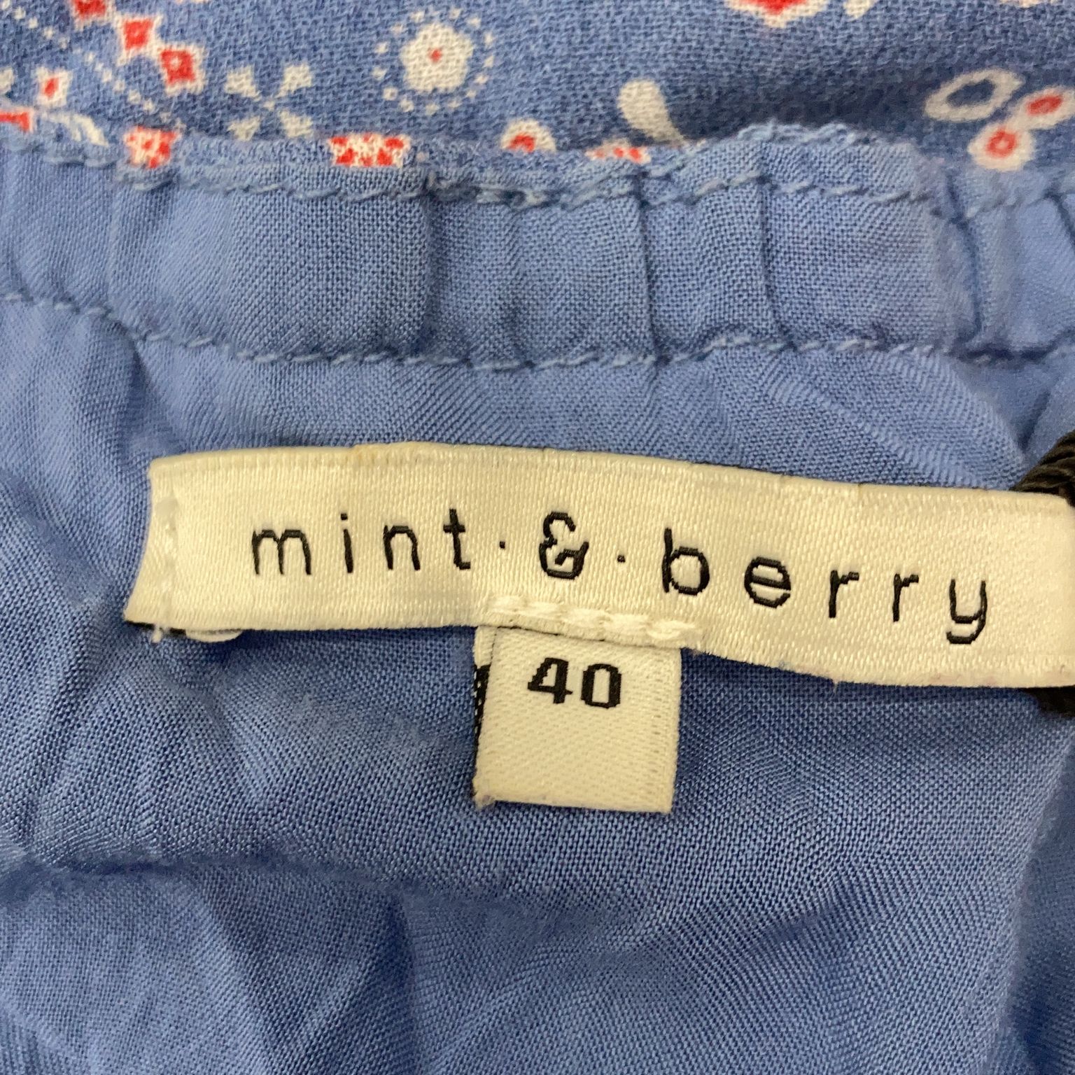 Mint  Berry