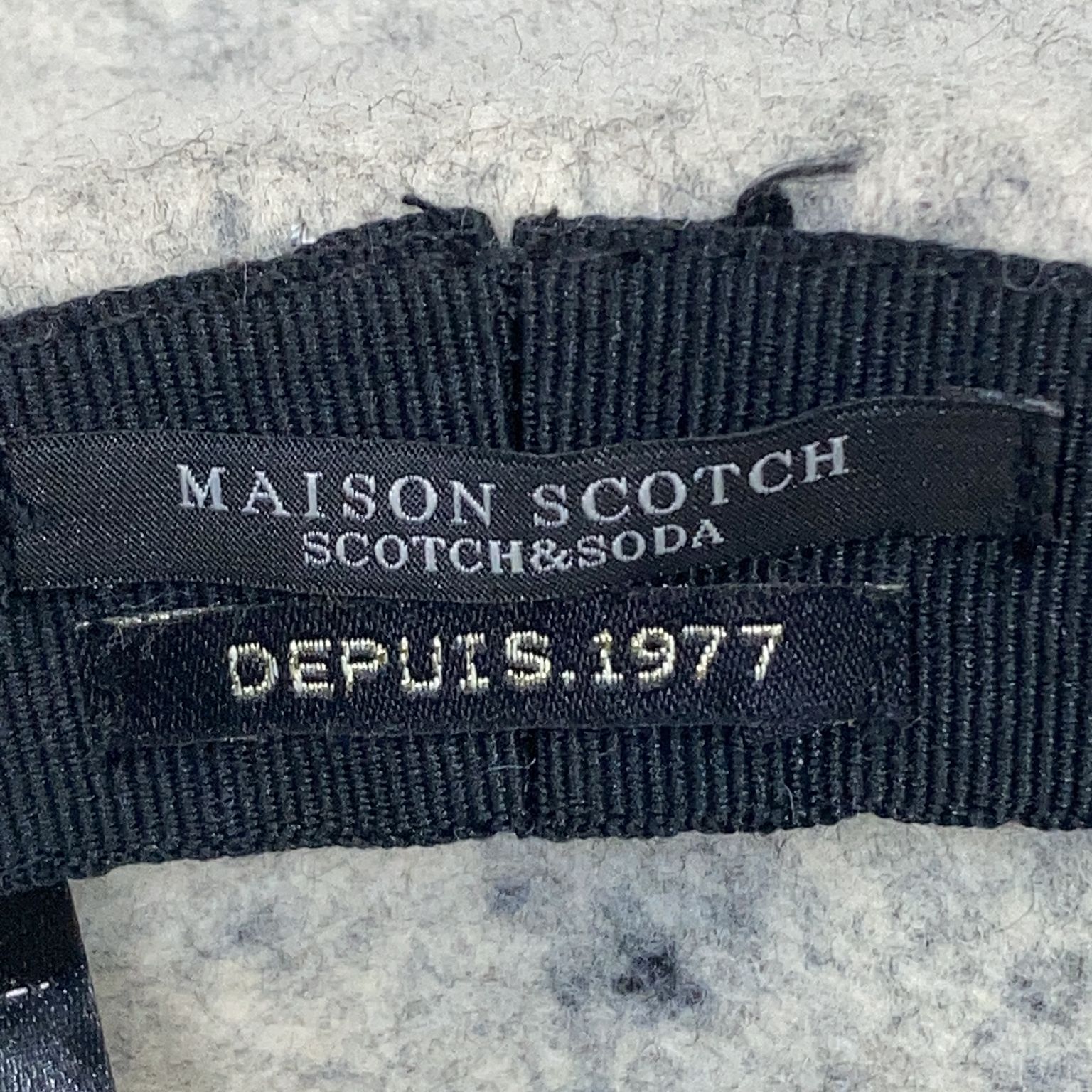 Maison Scotch