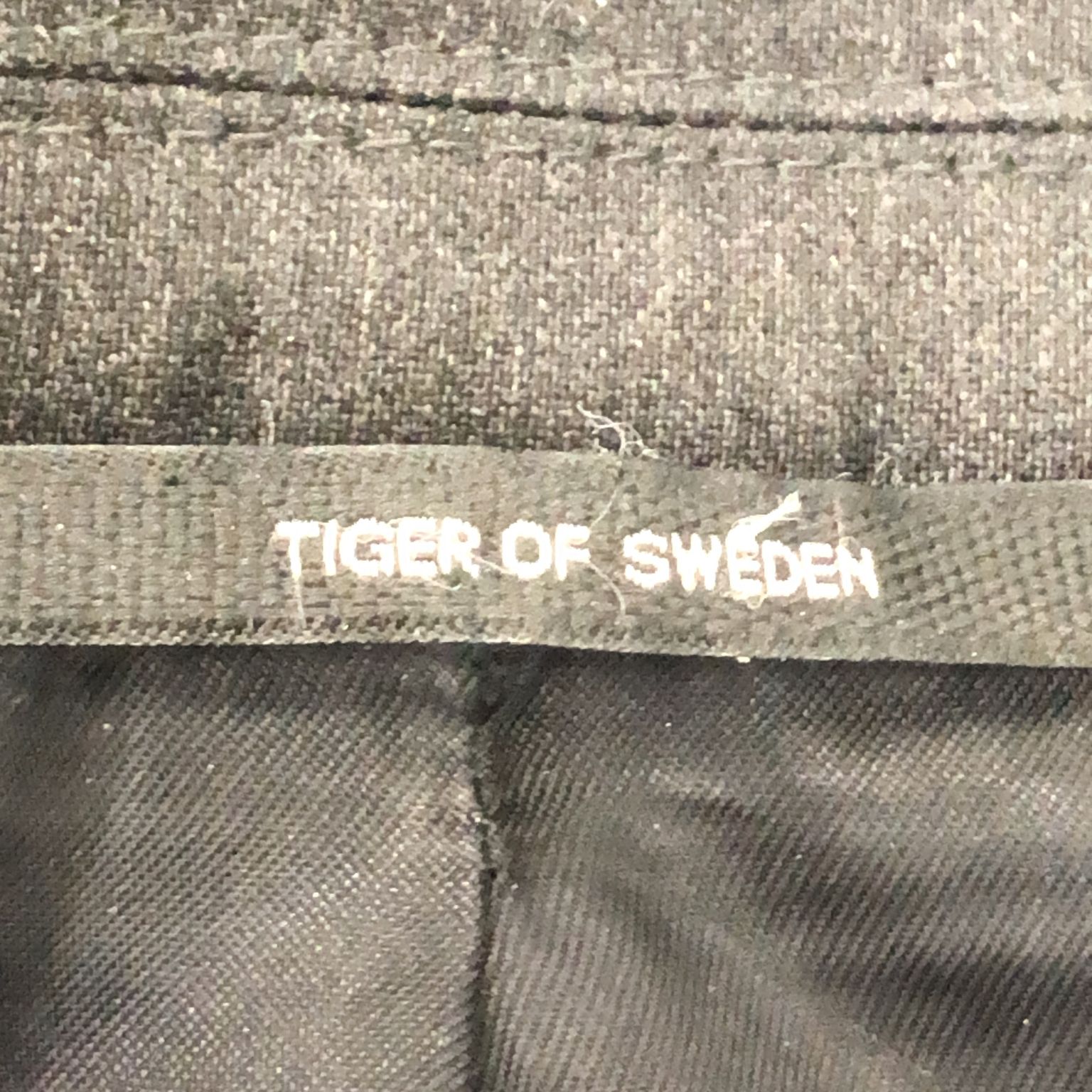 Tiger of Sweden