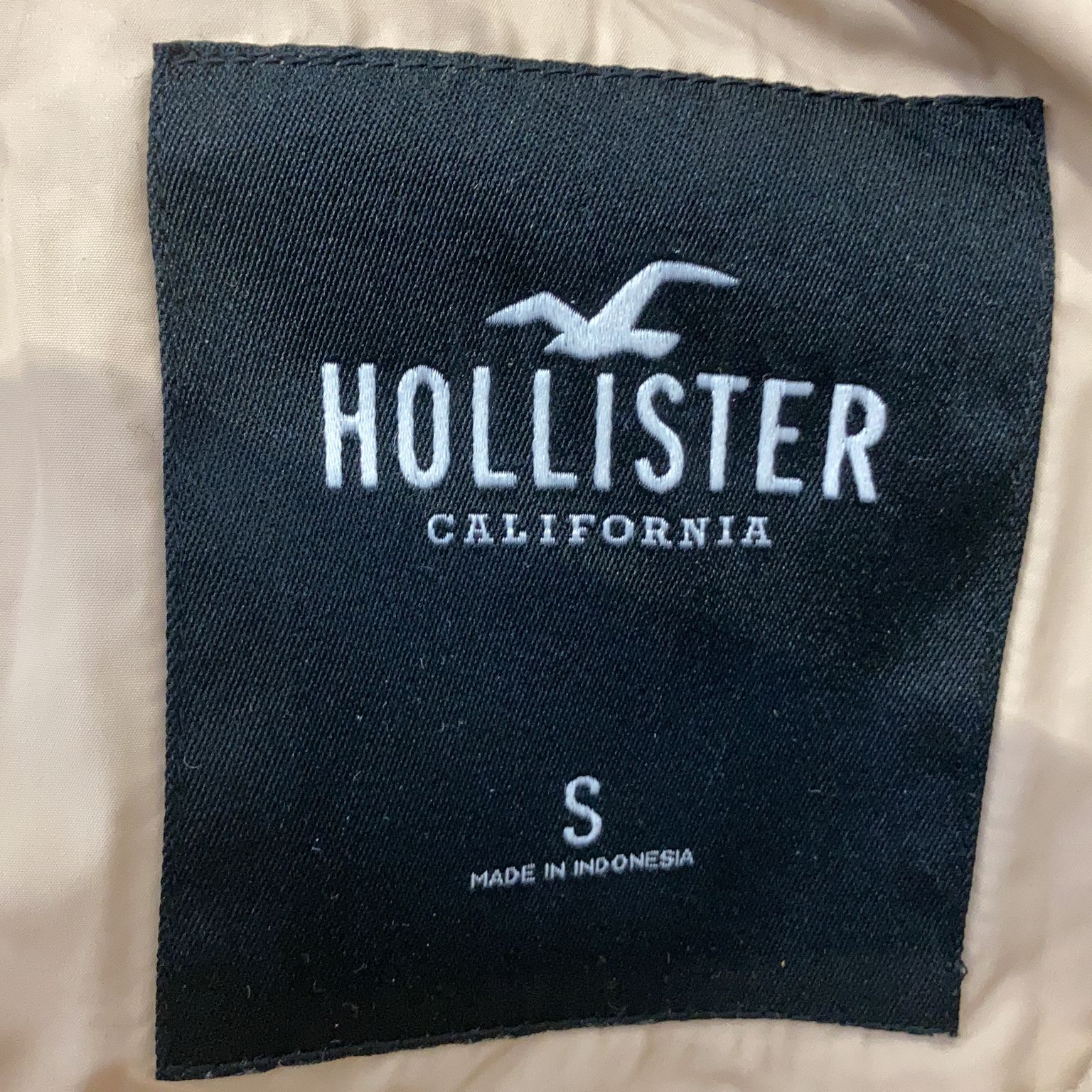 Hollister