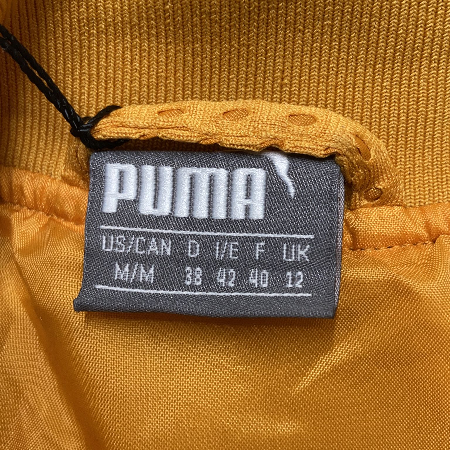 Puma