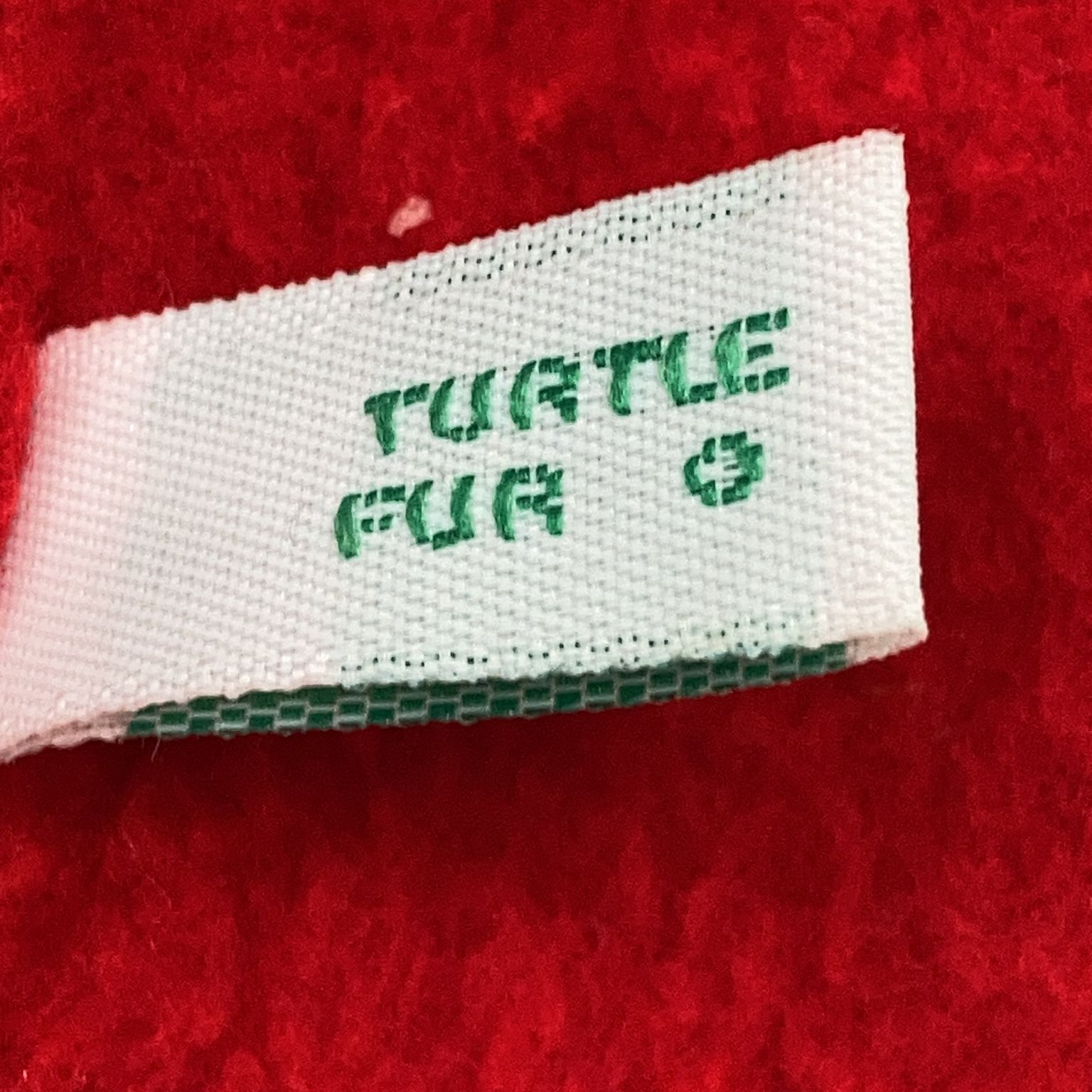 Turtle