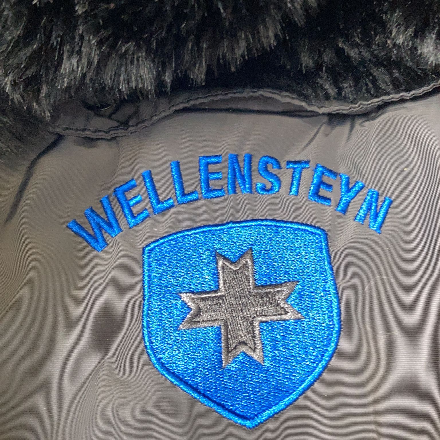 Wellensteyn