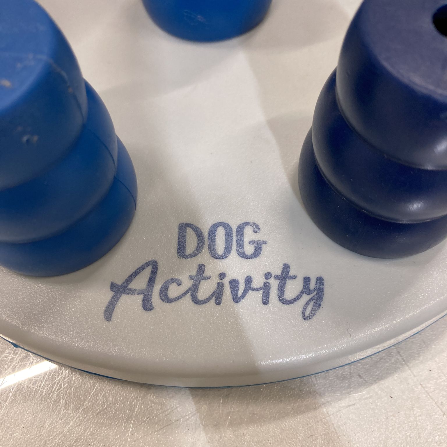 Dog Activity