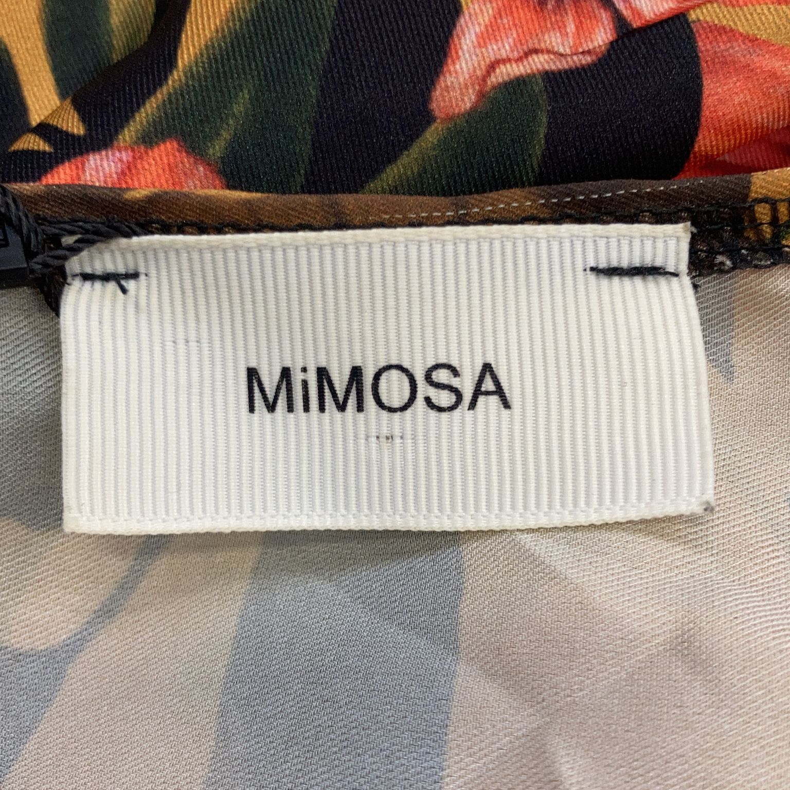 Mimosa