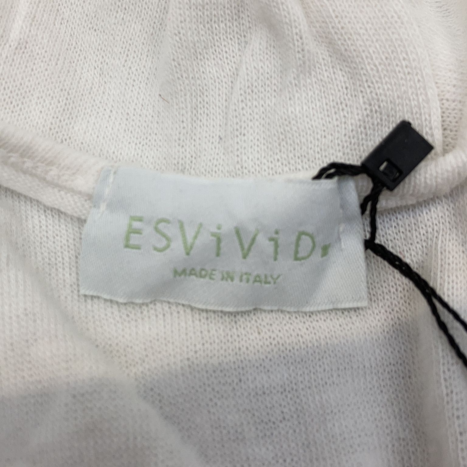 ESViViD