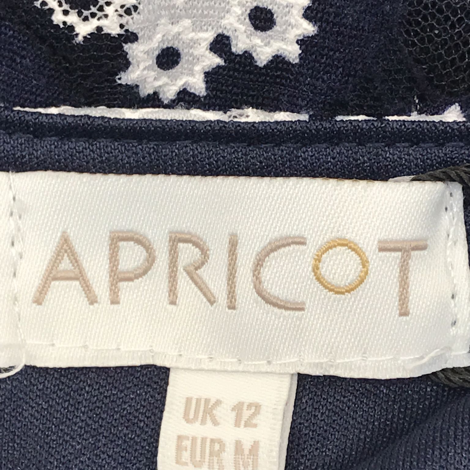 Apricot