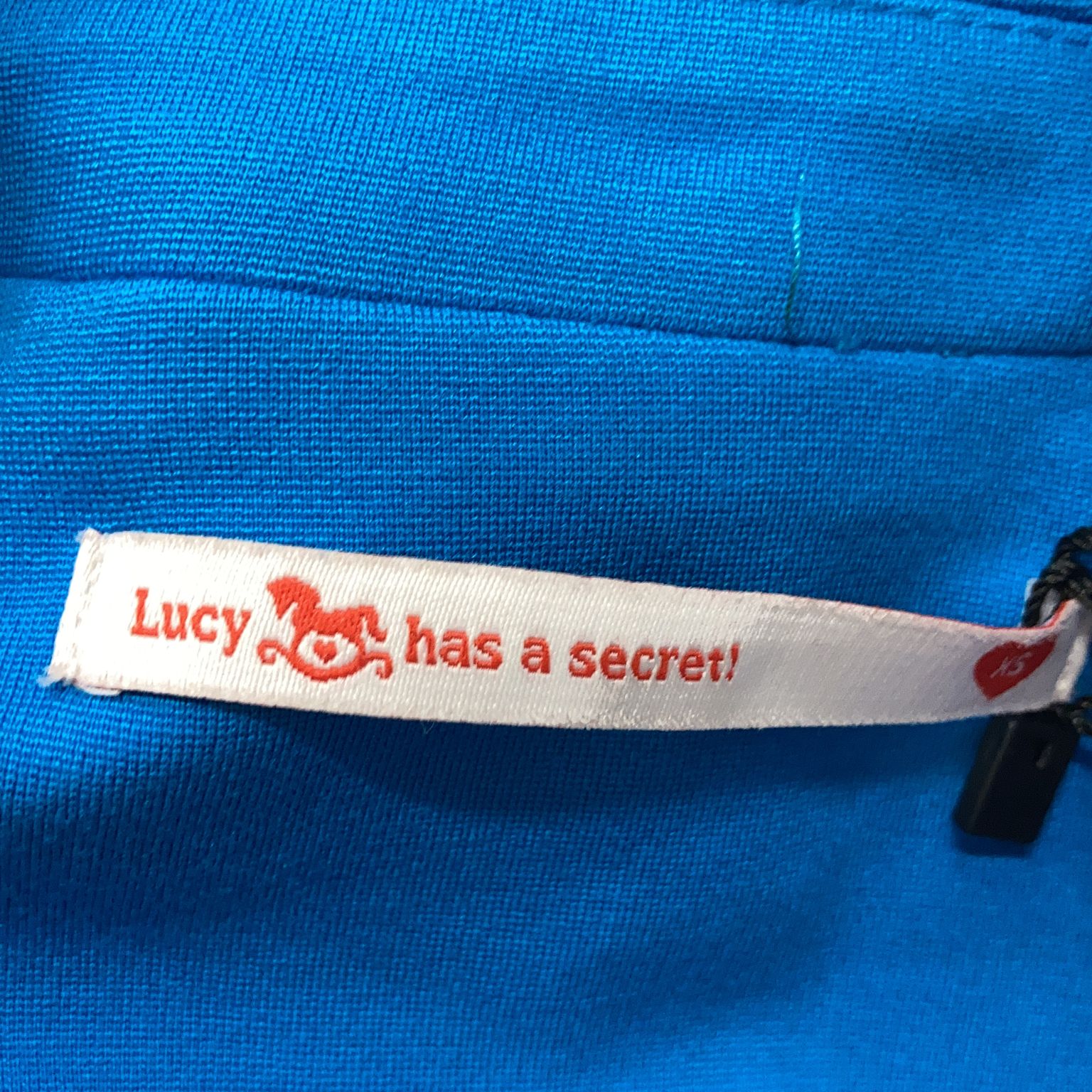 Lucy has a Secret