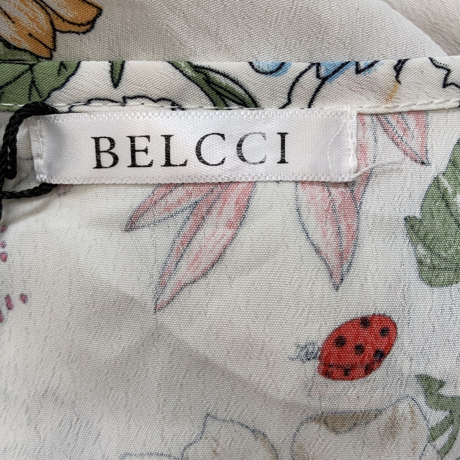 Belcci