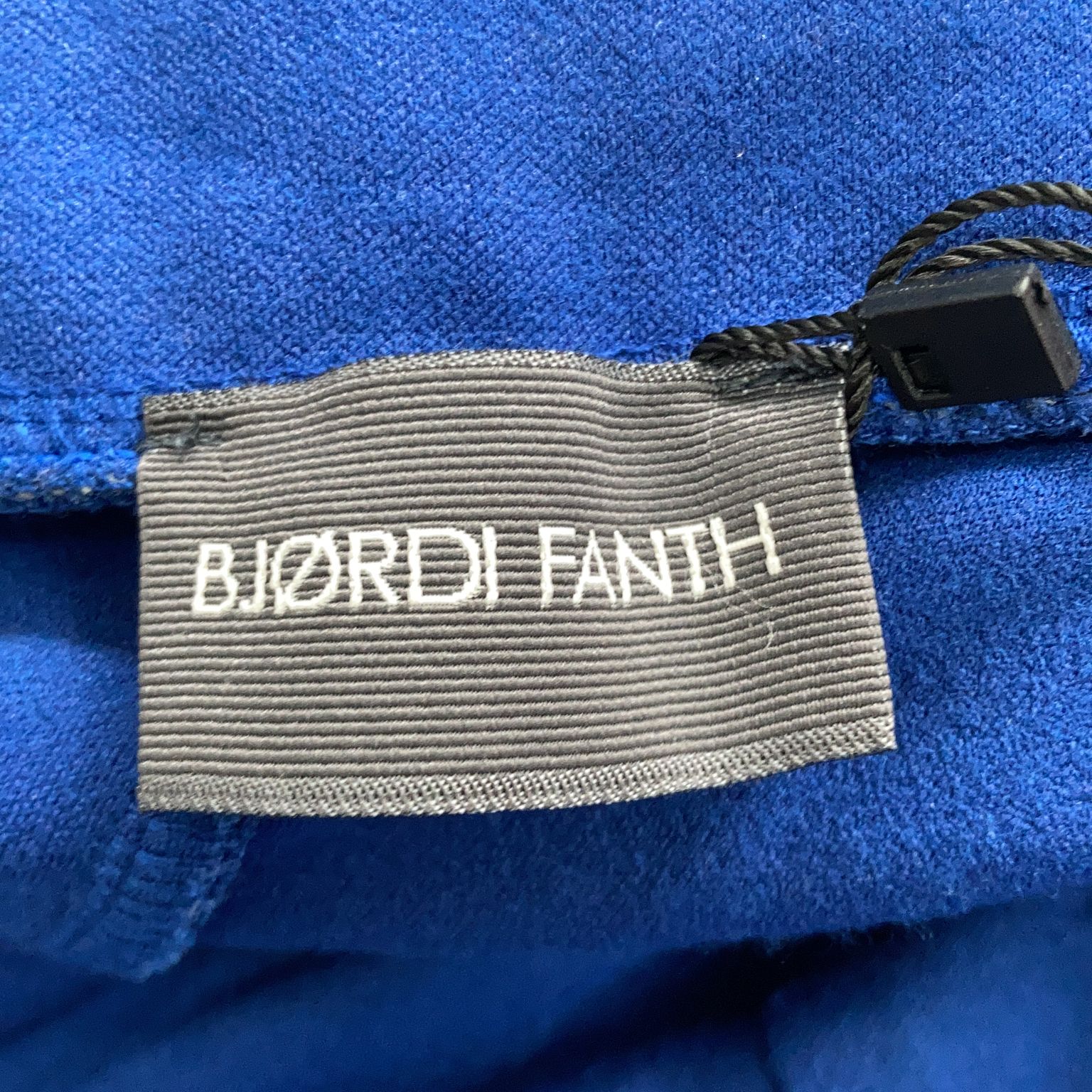 Bjørdi Fanth