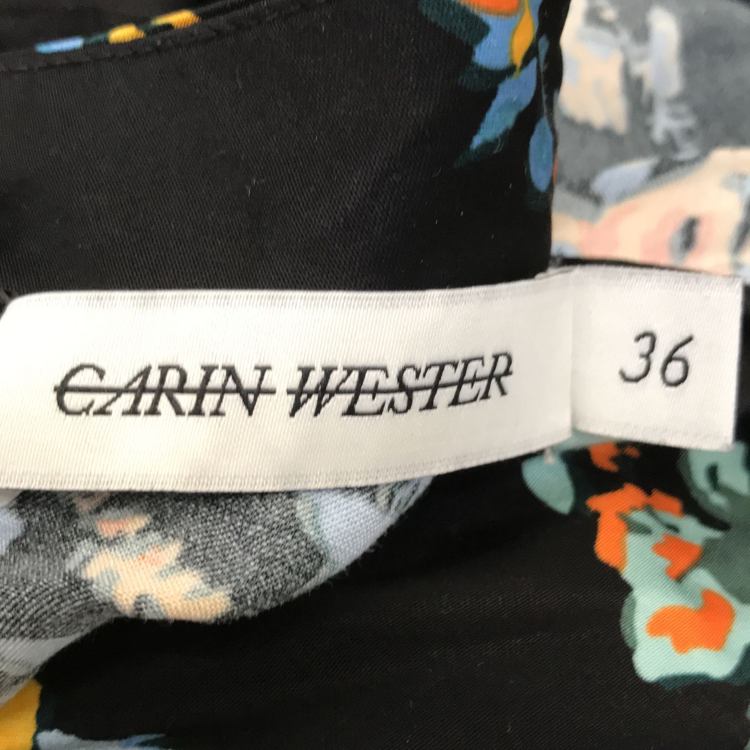 Carin Wester