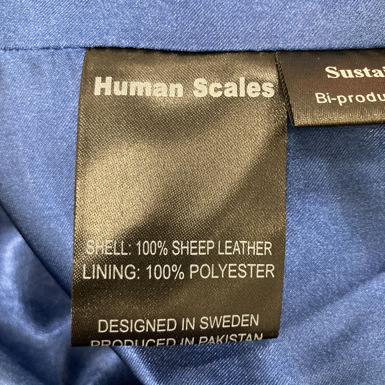 Human Scales