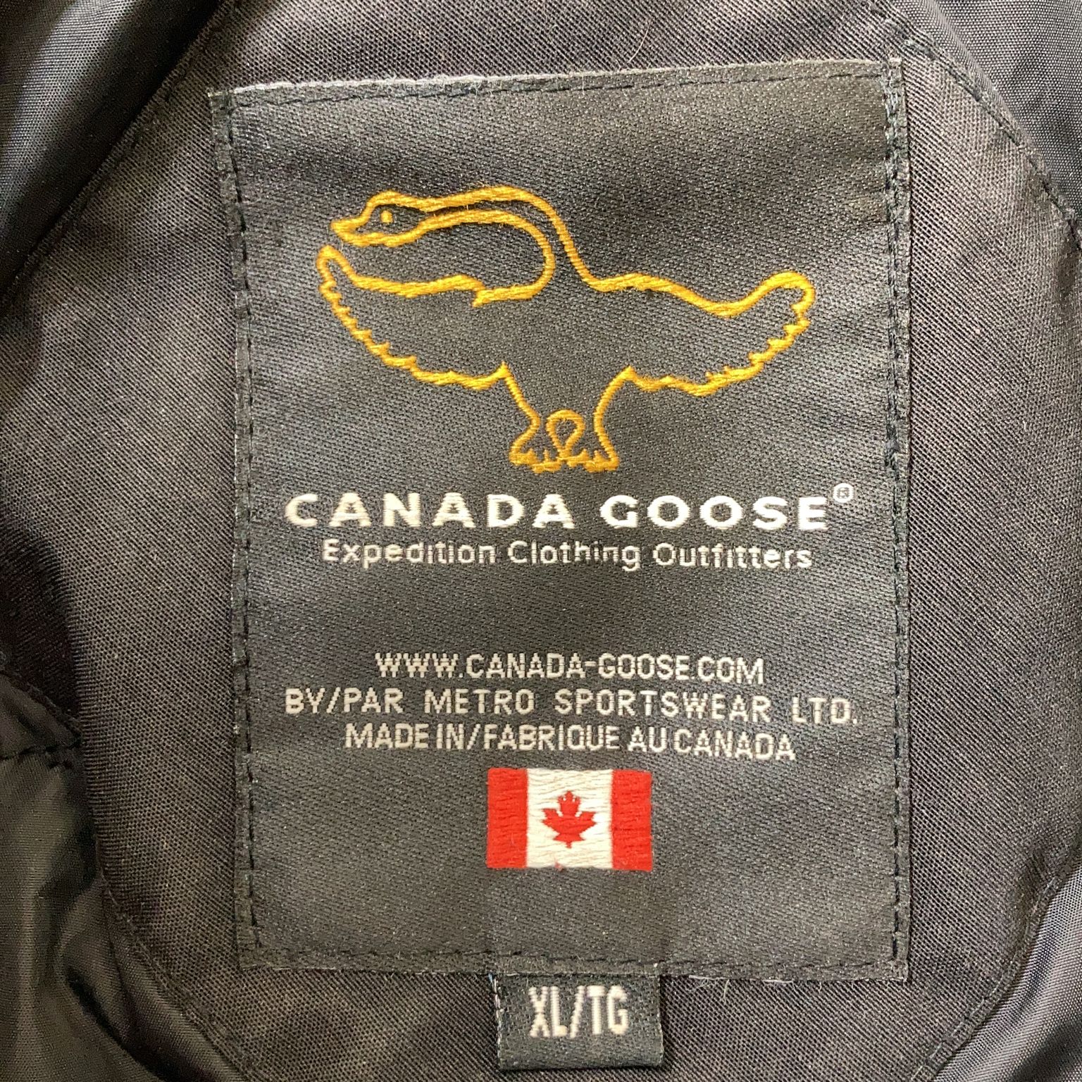 Canada Goose