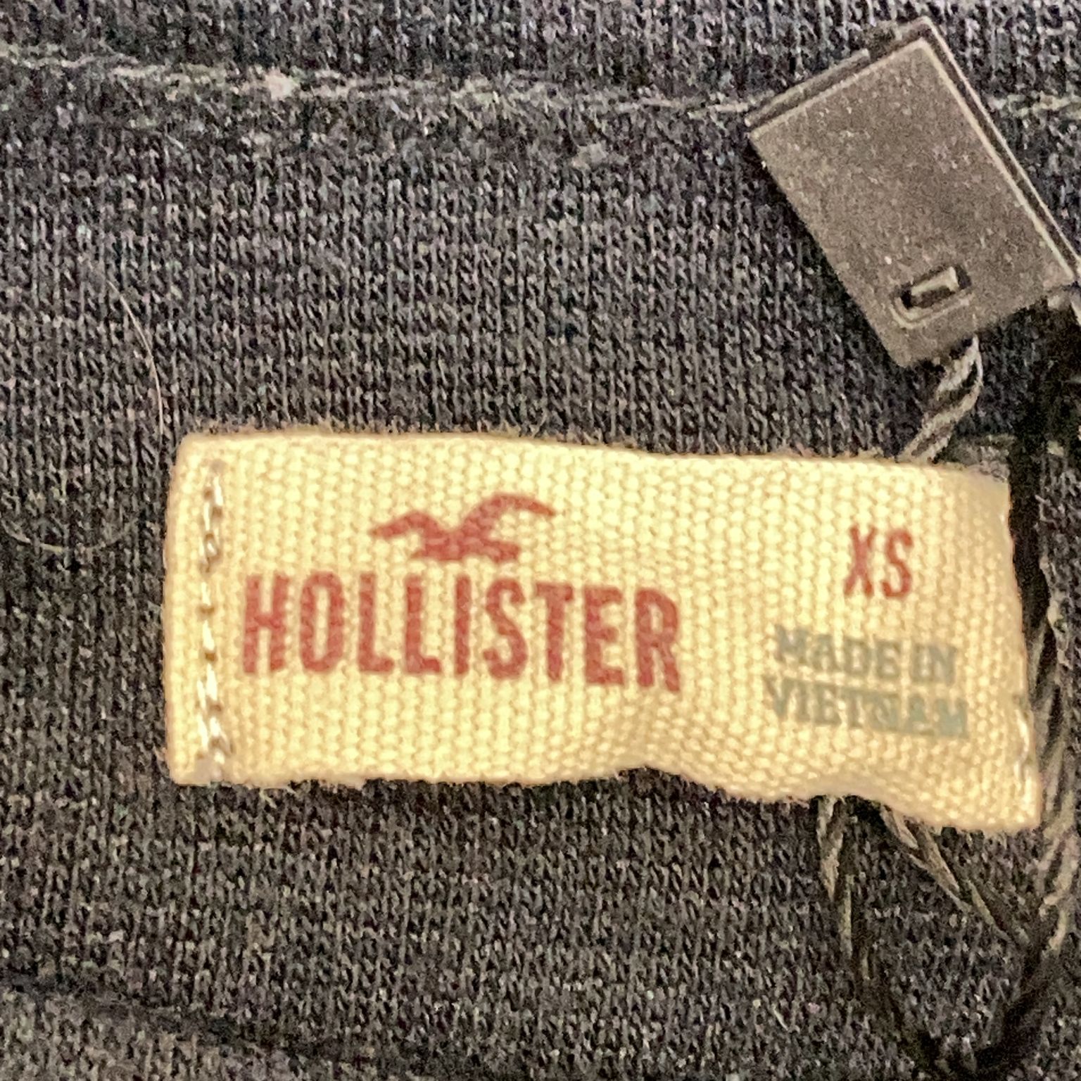 Hollister