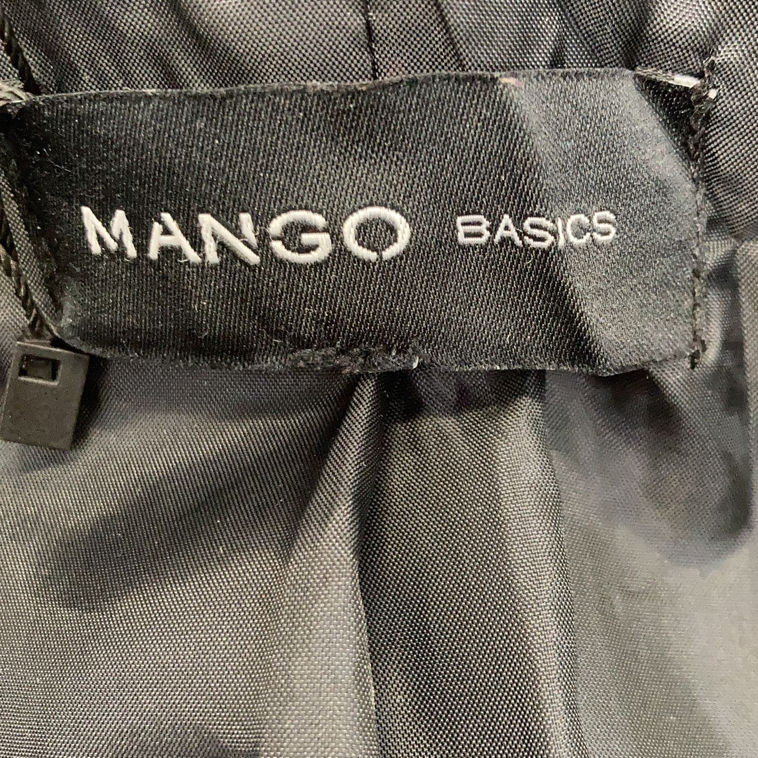 Mango Basics