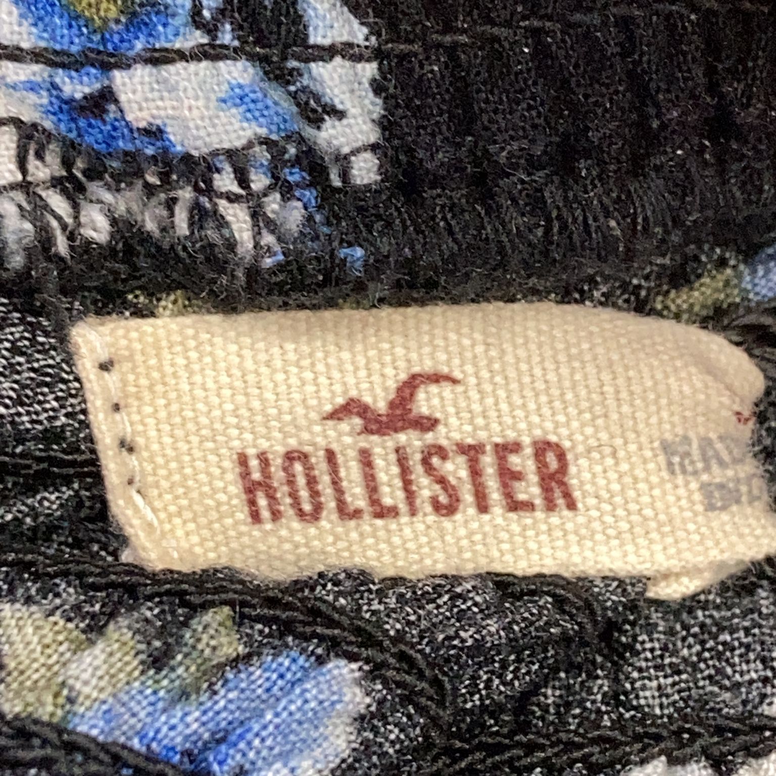 Hollister