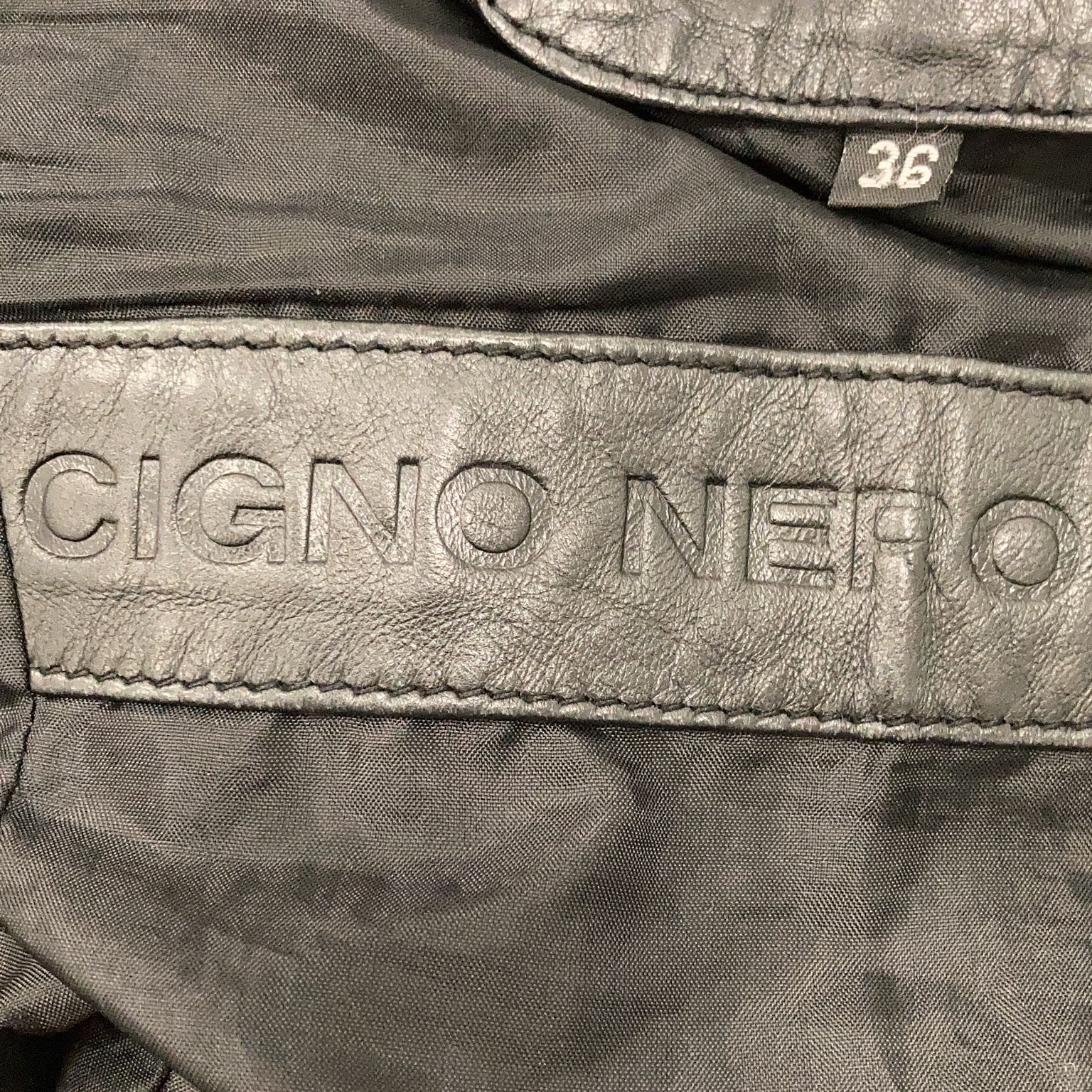 Cigno Nero