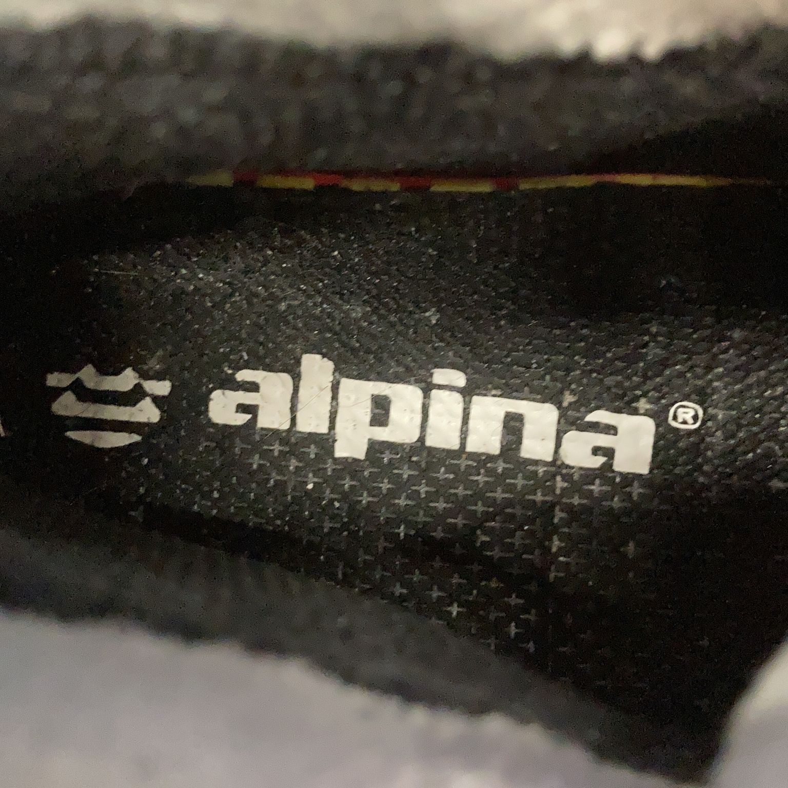 Alpina