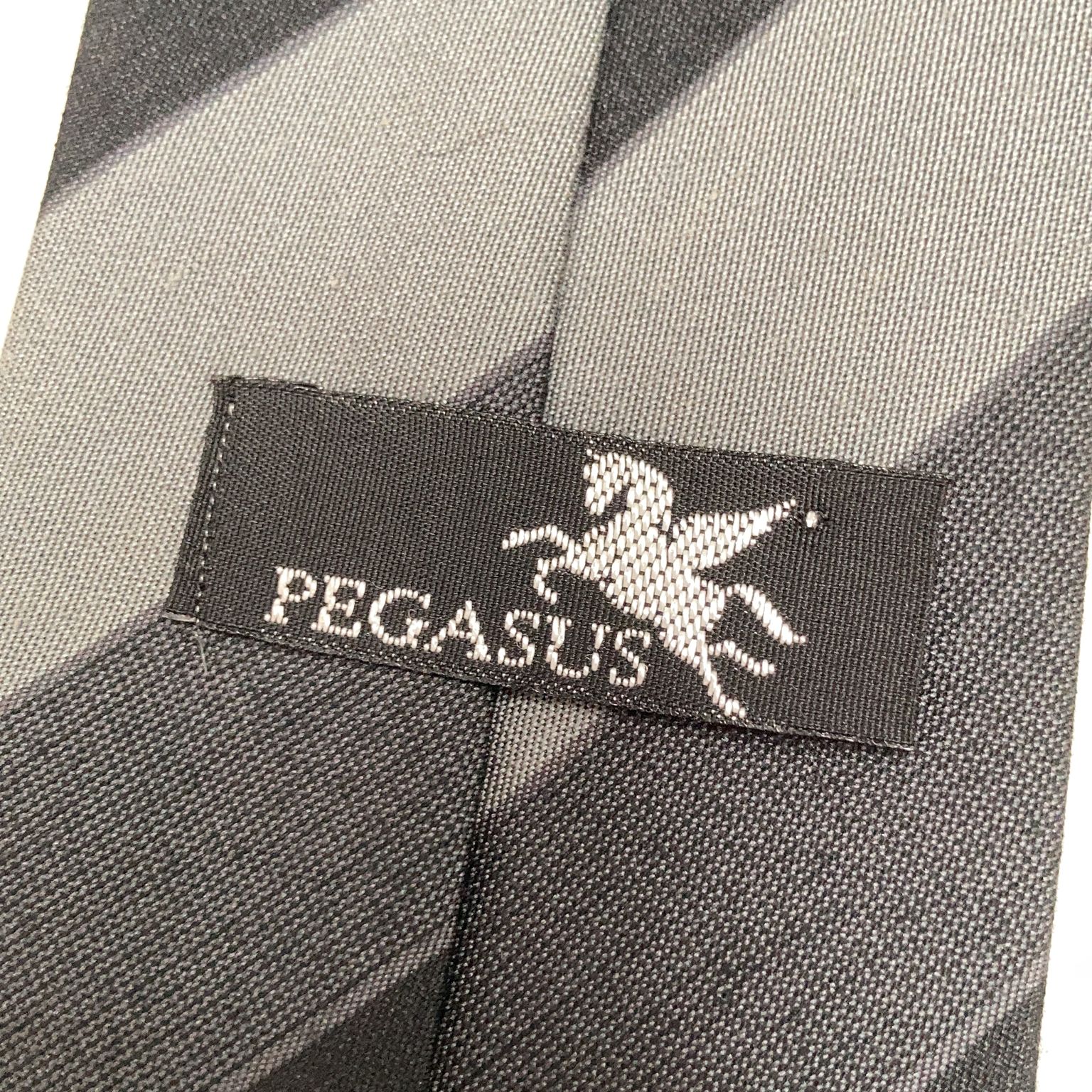 Pegasus