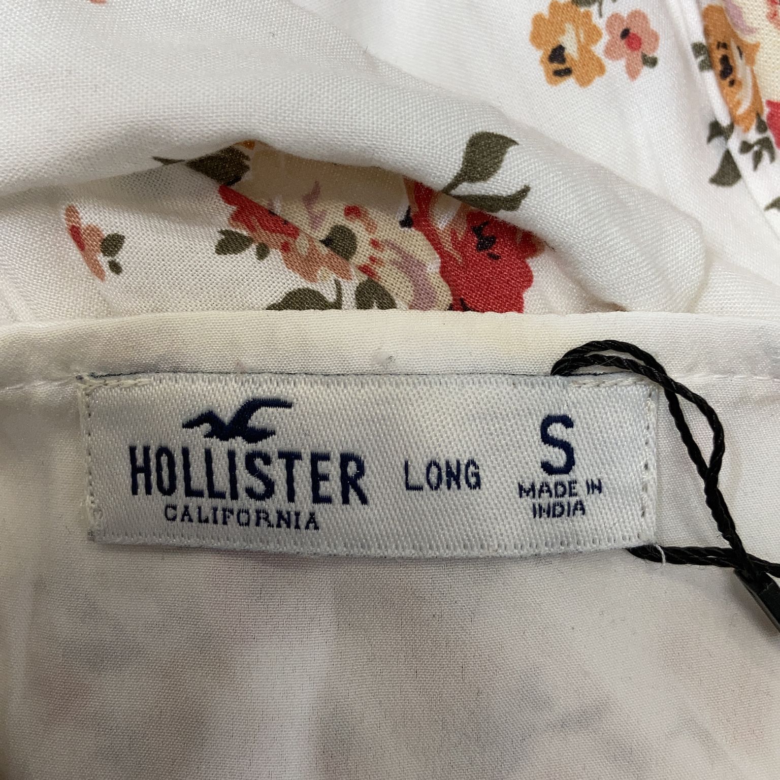 Hollister