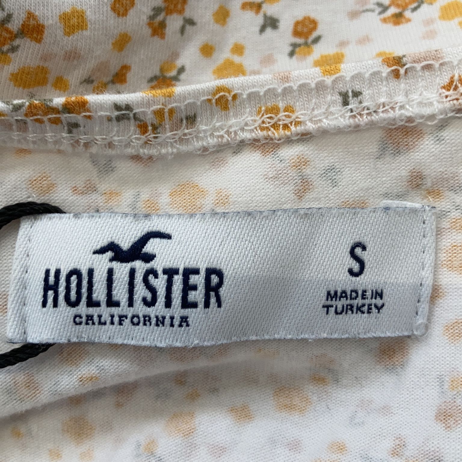 Hollister California