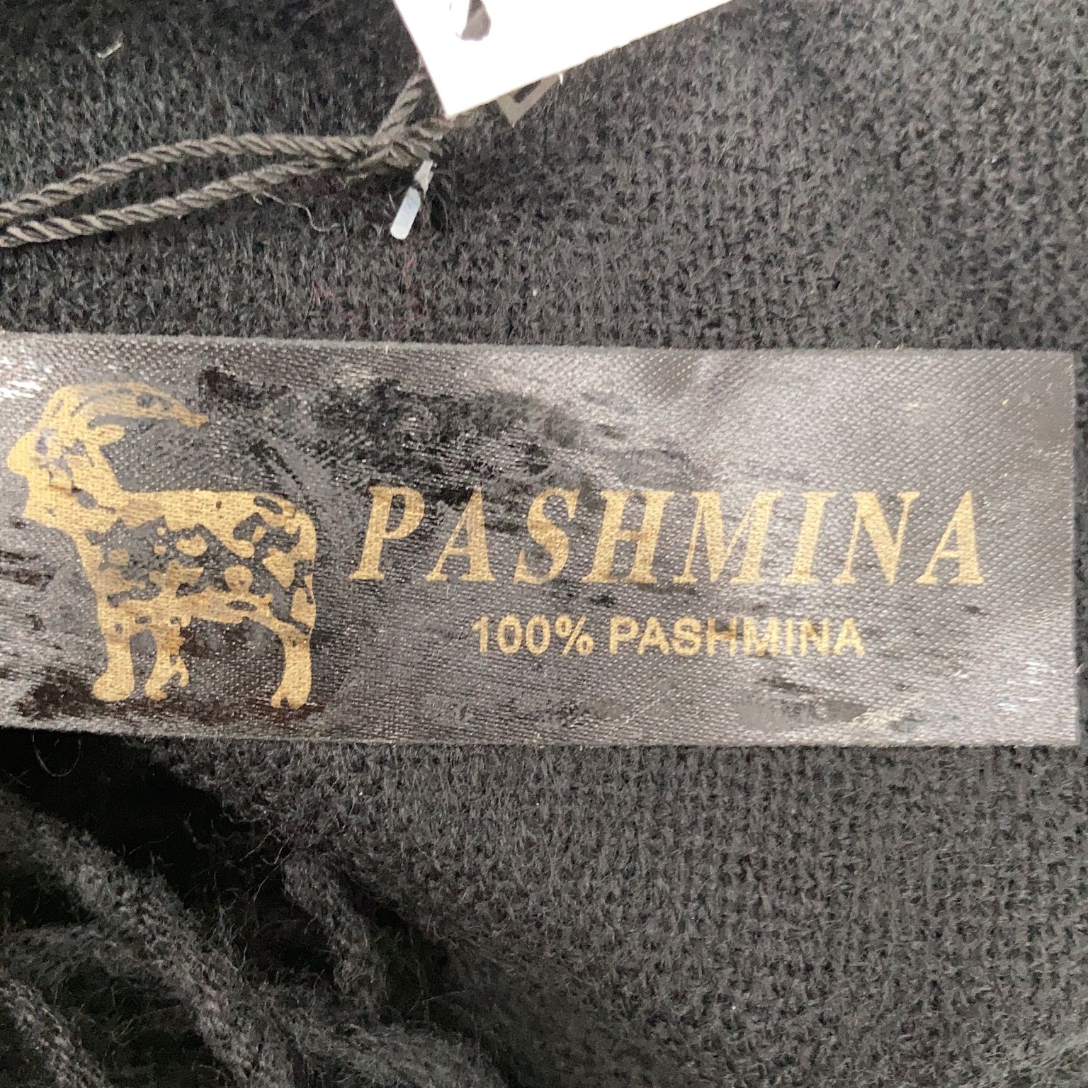 Pashmina