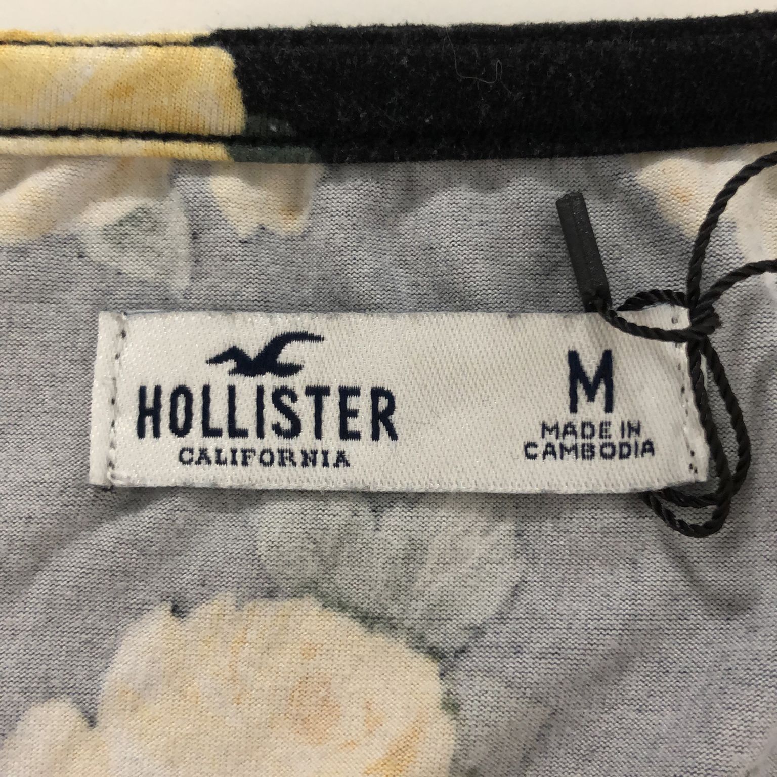 Hollister