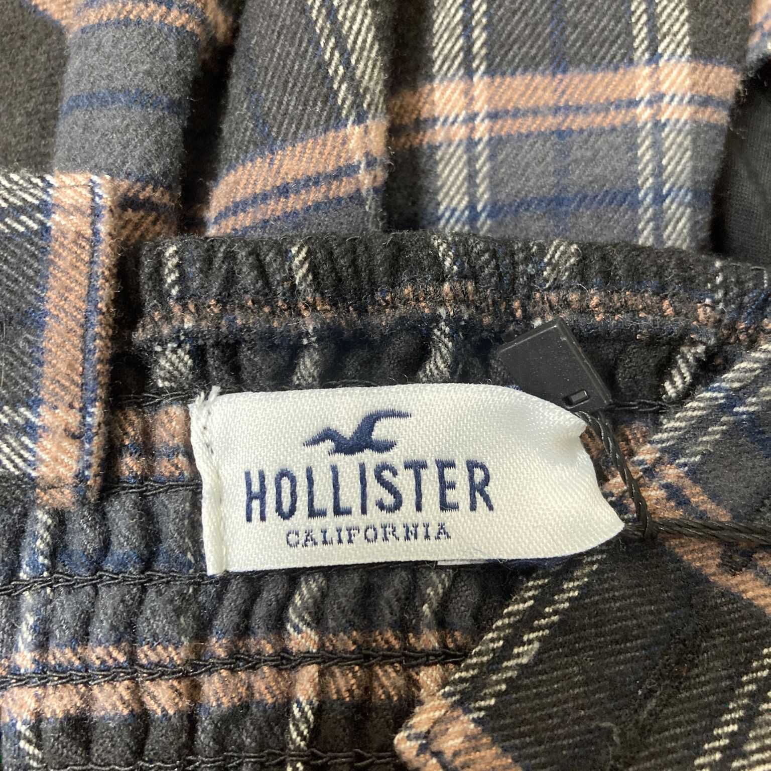 Hollister