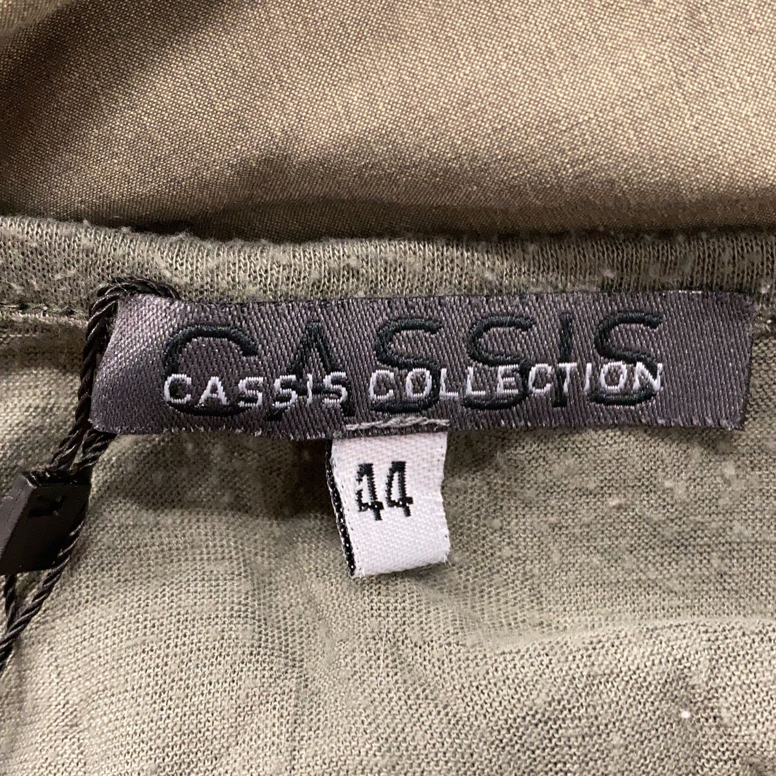 Cassis Collection