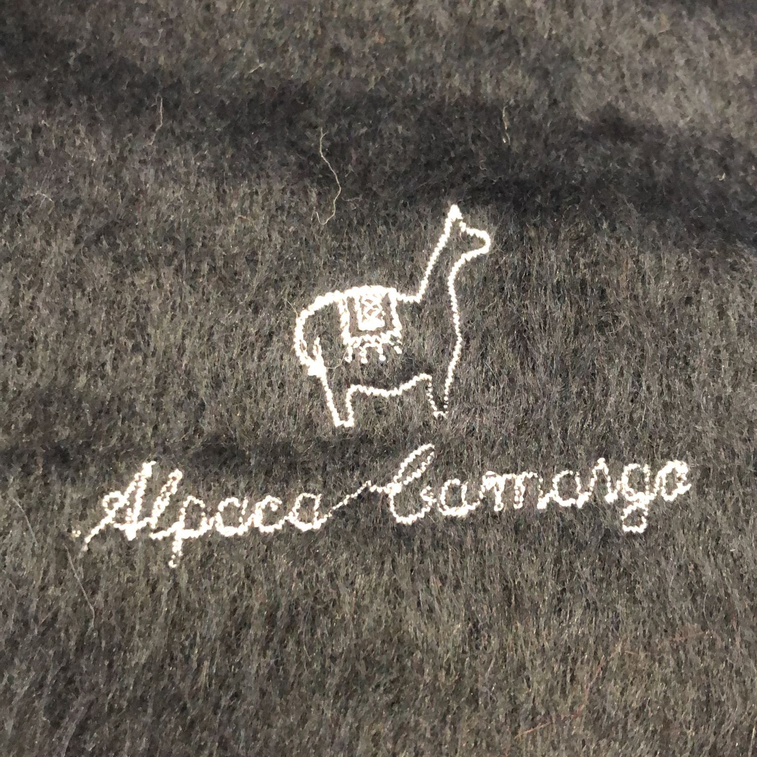 Alpaca Camargo