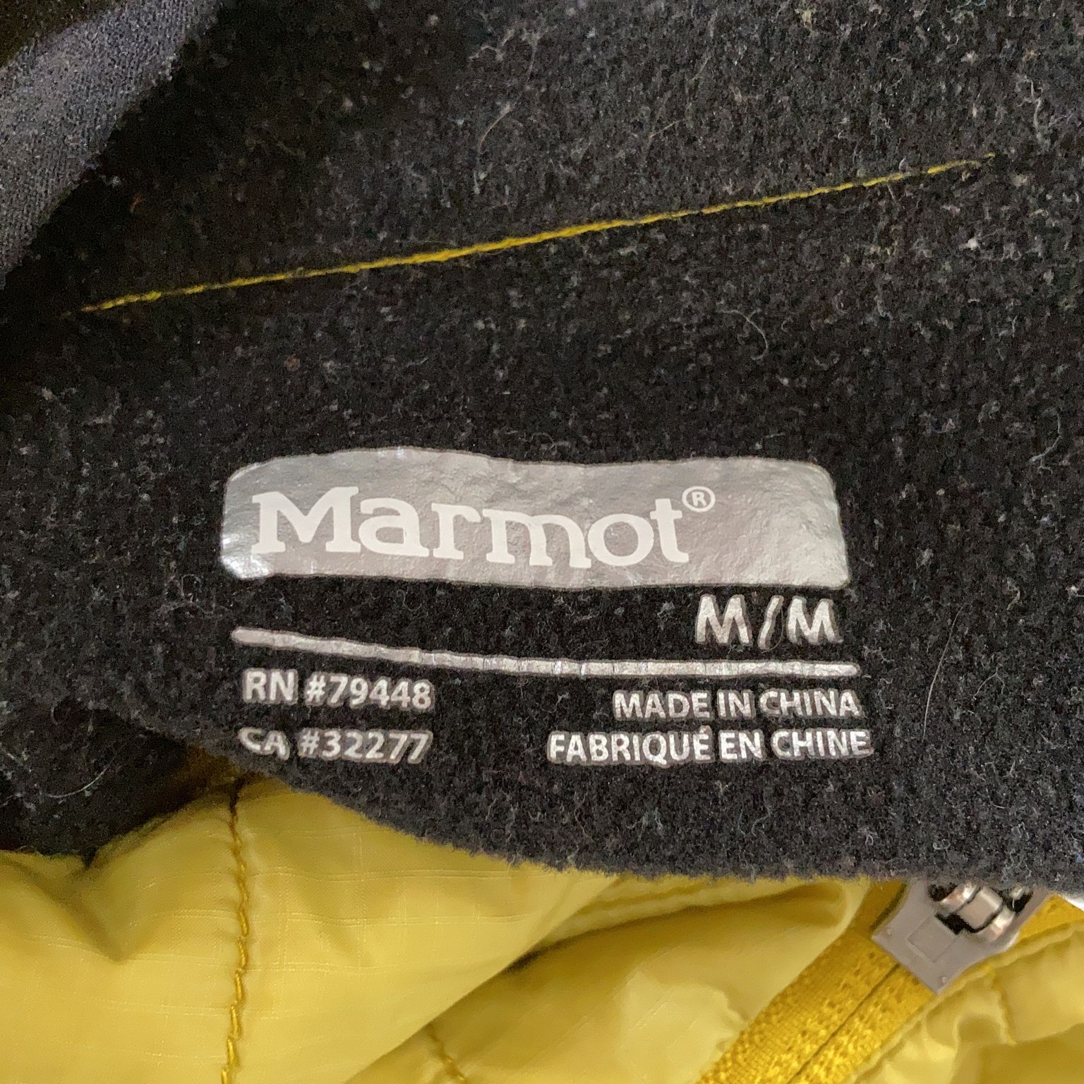 Marmot