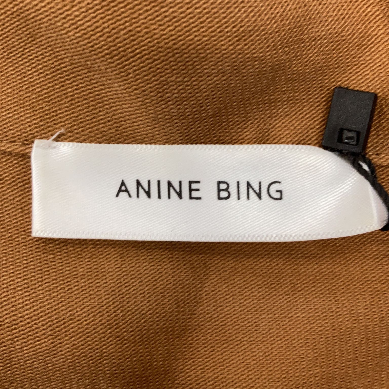 Anine Bing