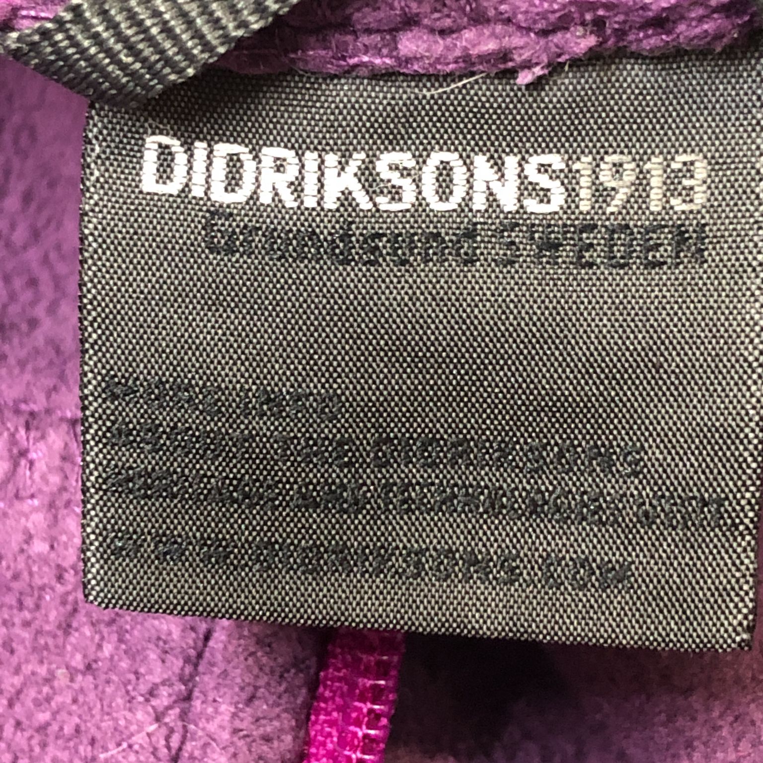 Didriksons 1913