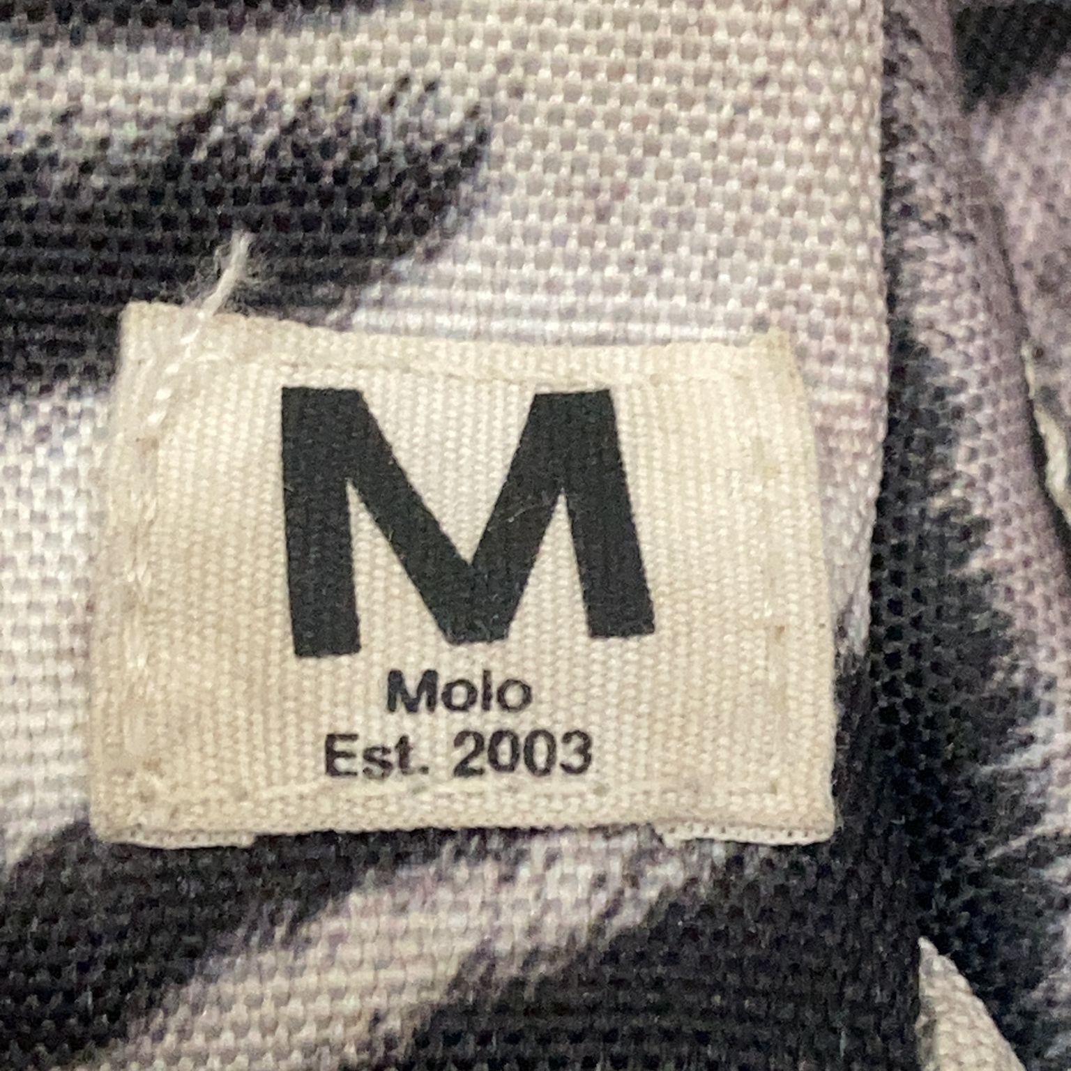 Molo