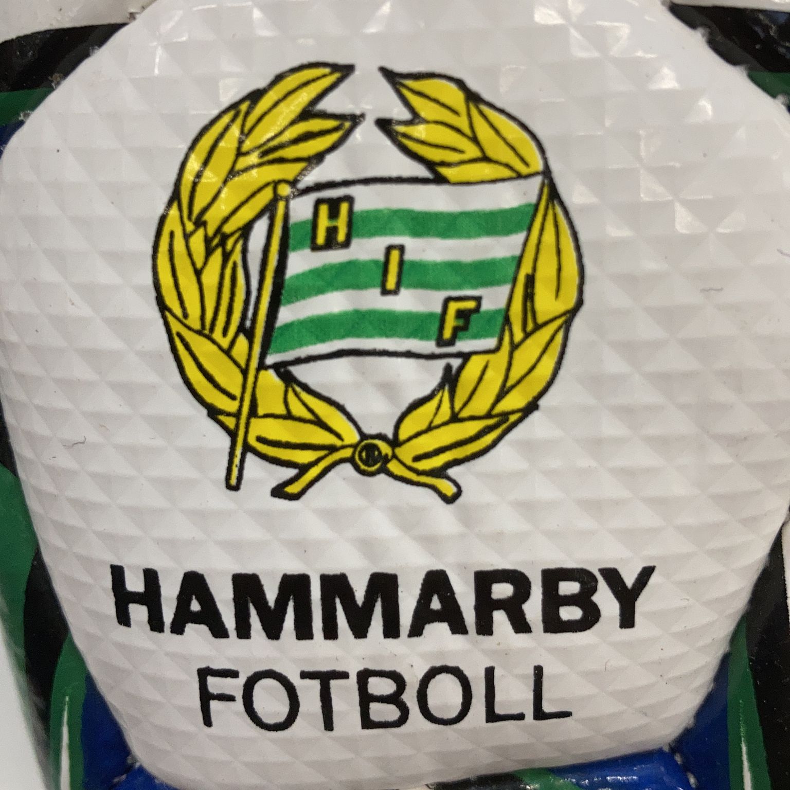 Hammarby IF