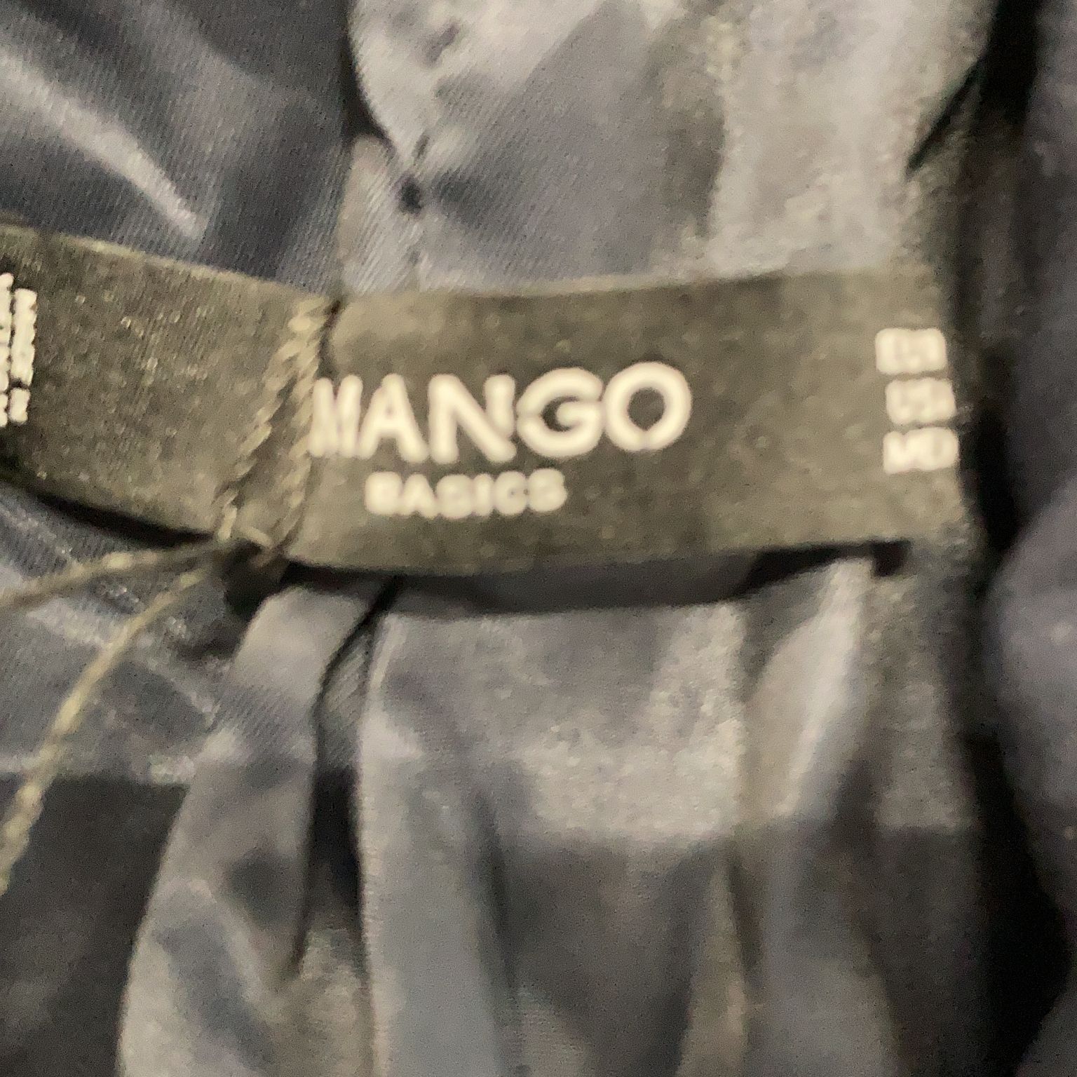 Mango Basics