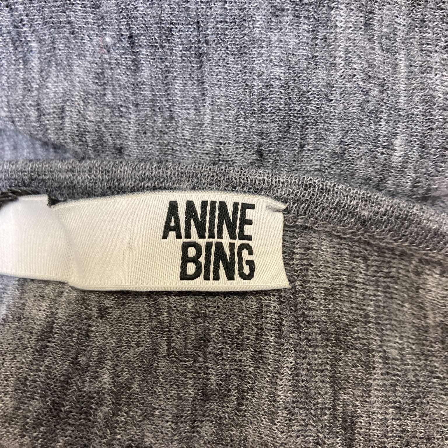 Anine Bing