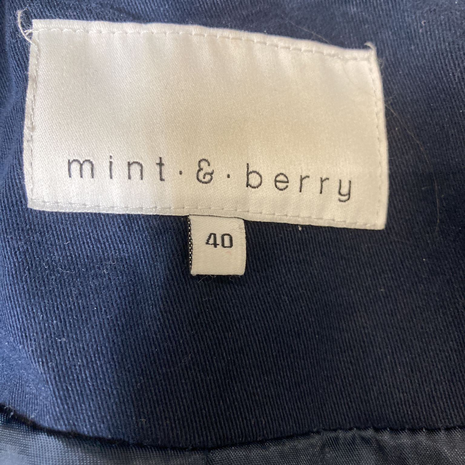 Mint  Berry