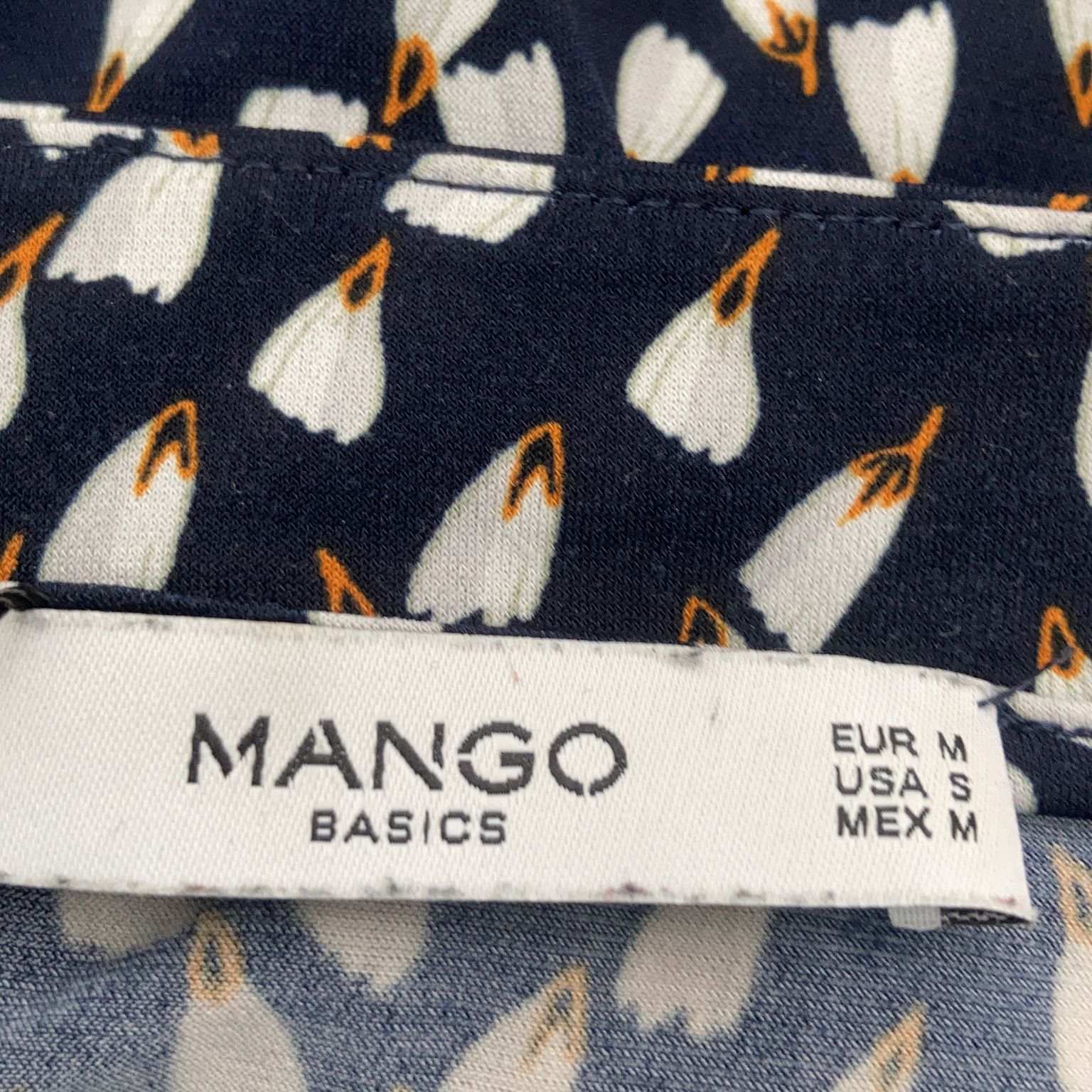 Mango Basics