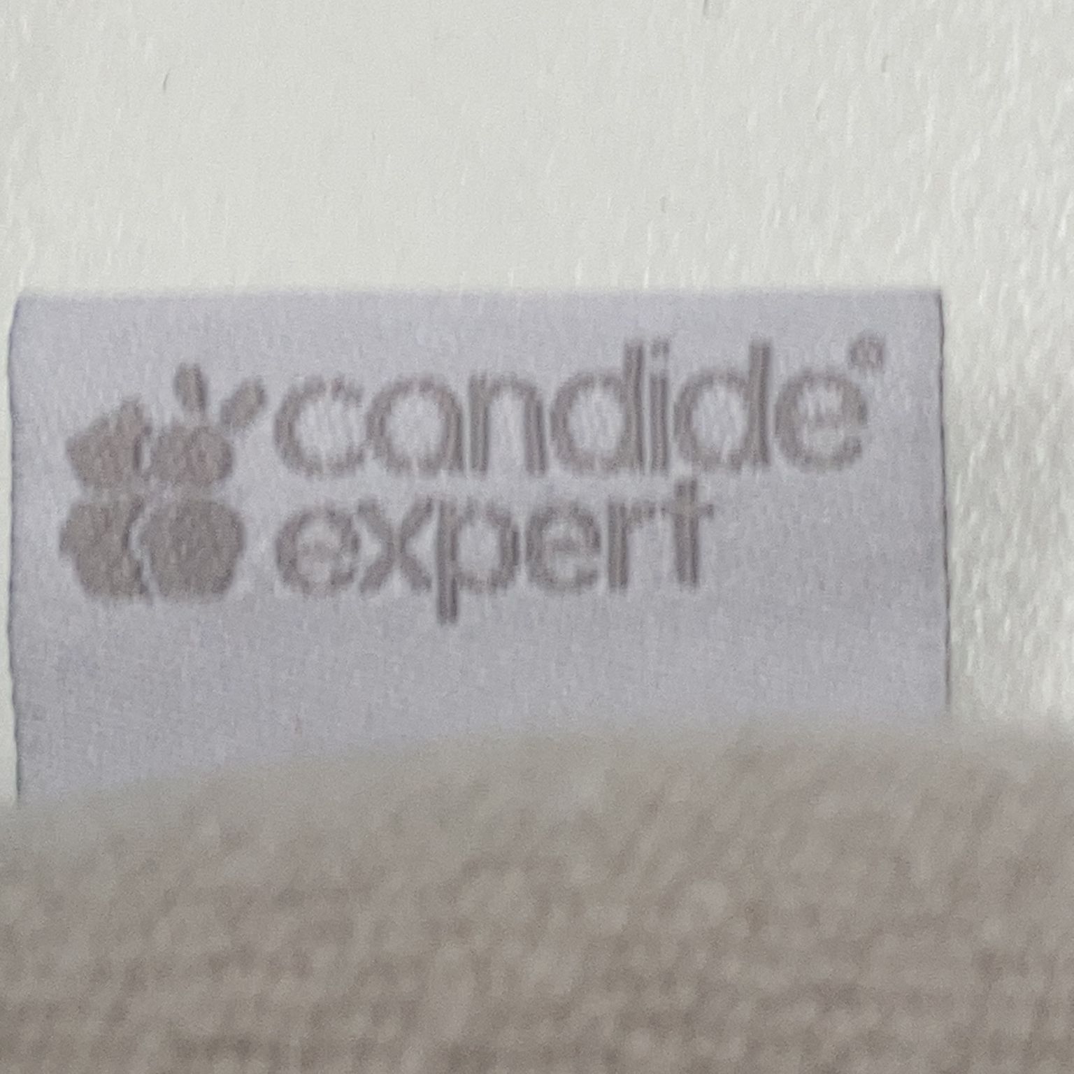 Candide Expert