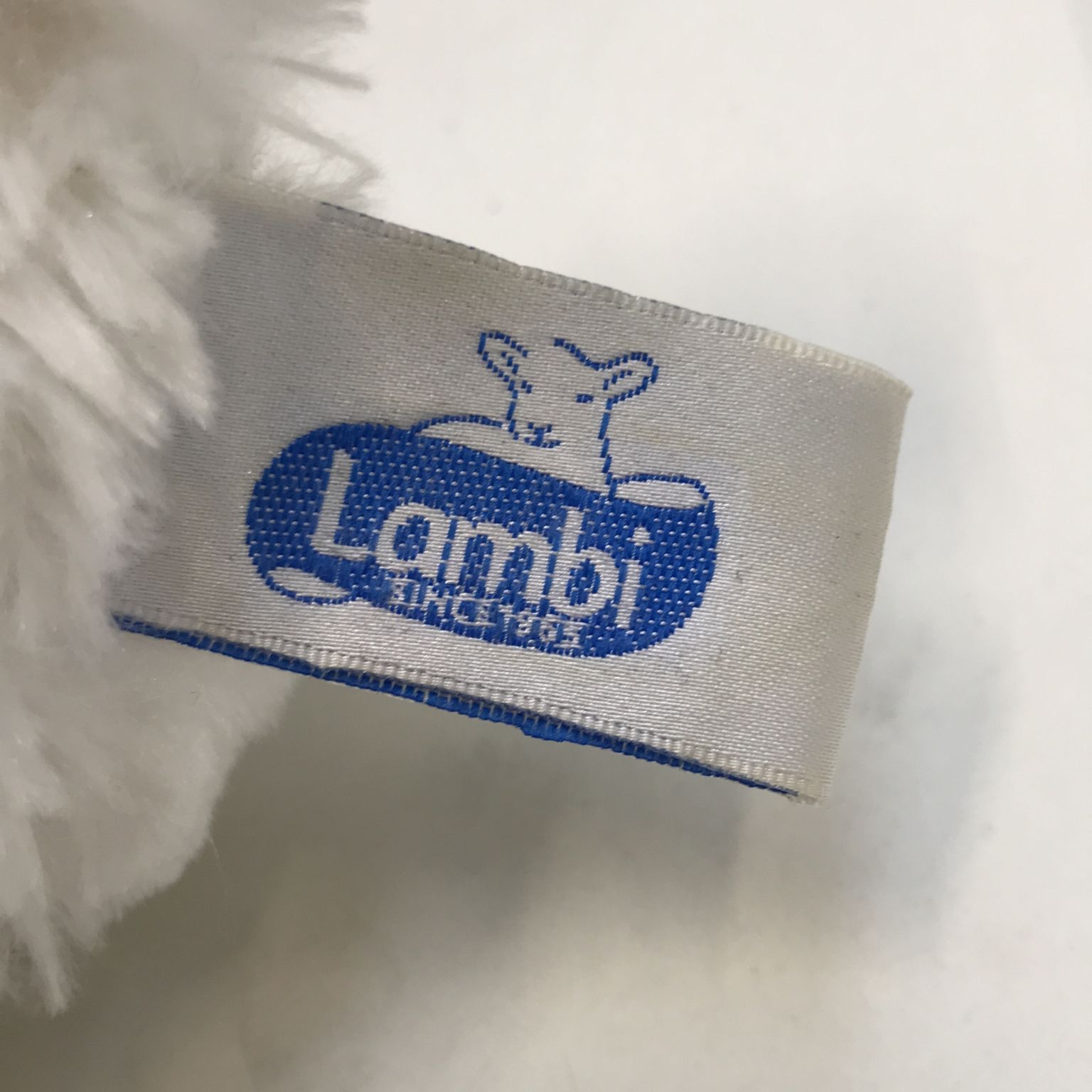 Lambi