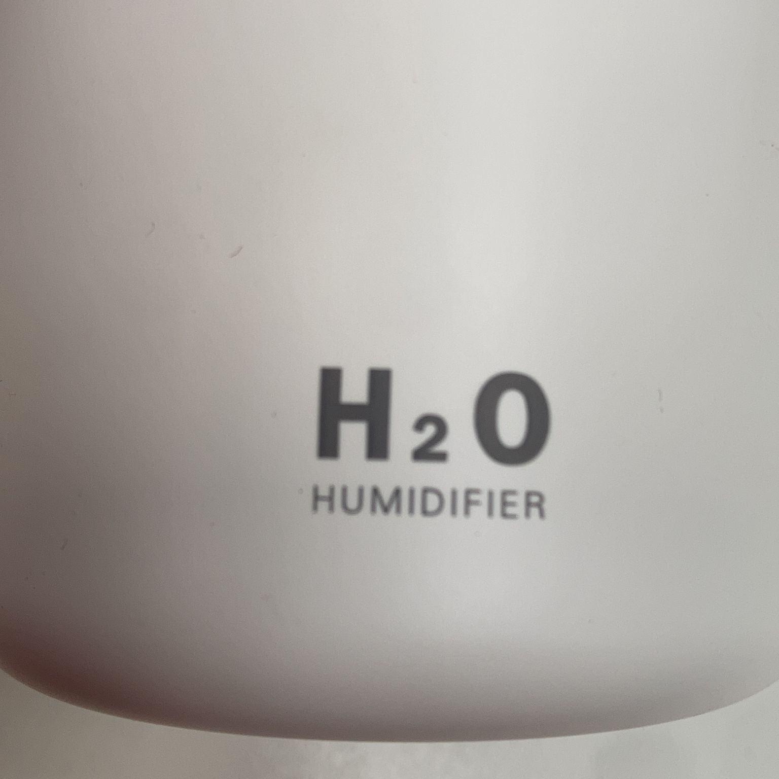 H2O Humidifier