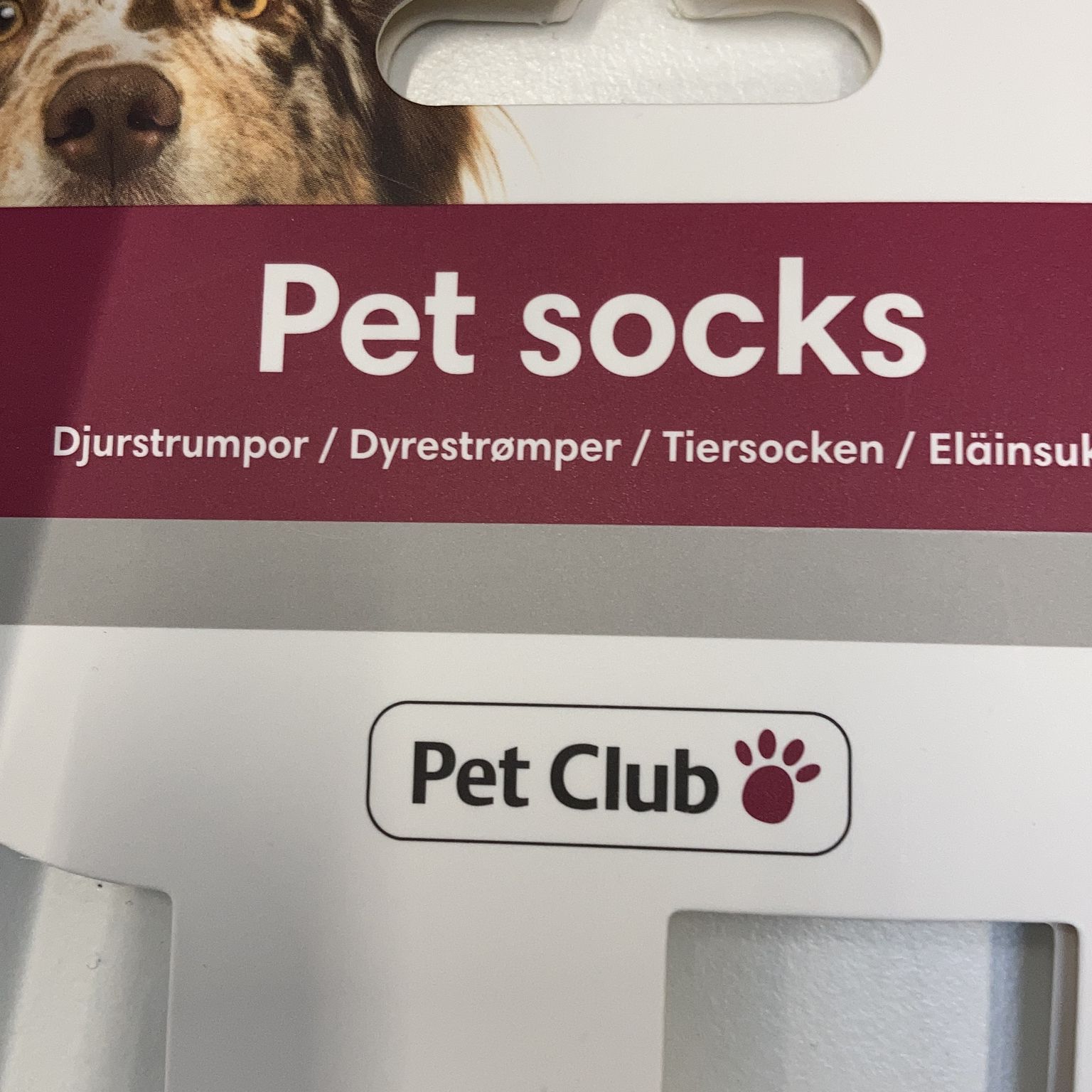 Pet Club