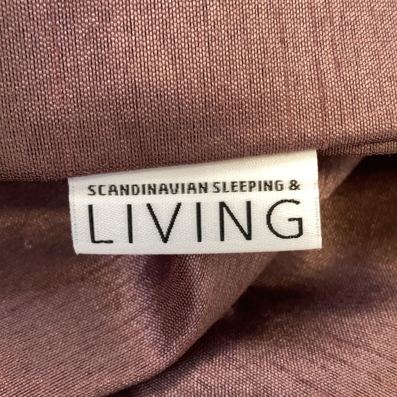 Scandinavian Sleeping  Living