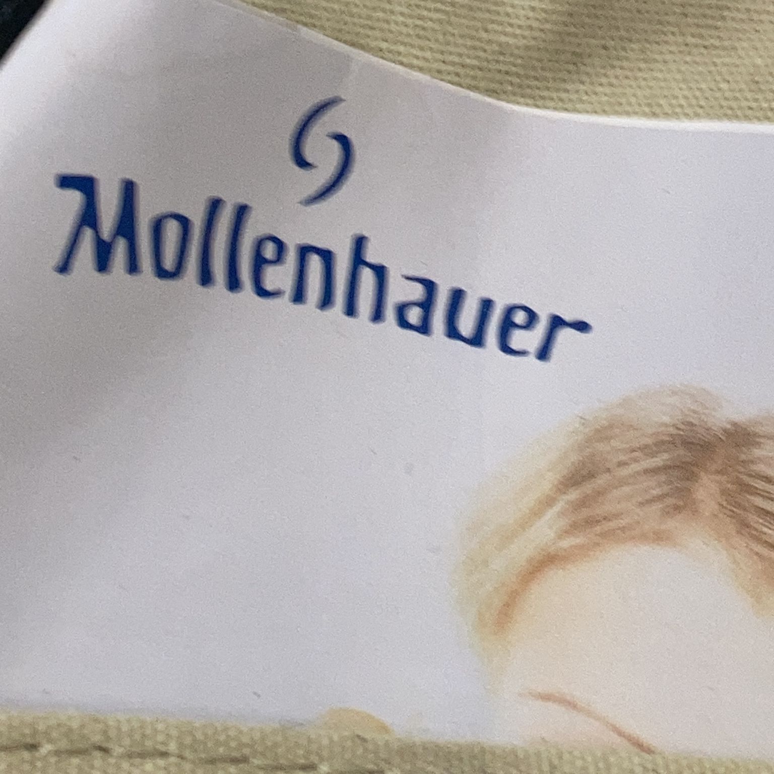 Mollenhauer