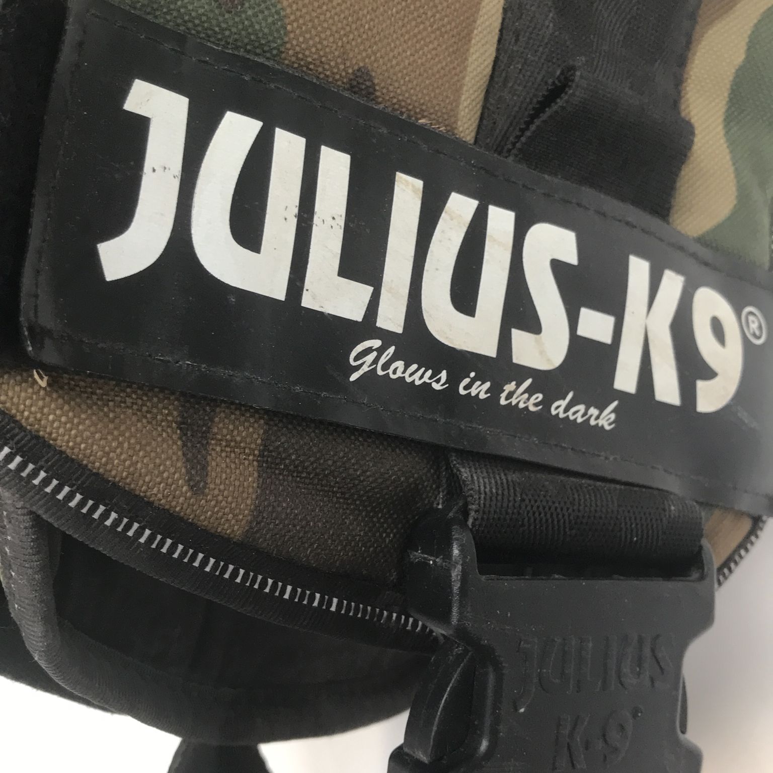 Julius K9